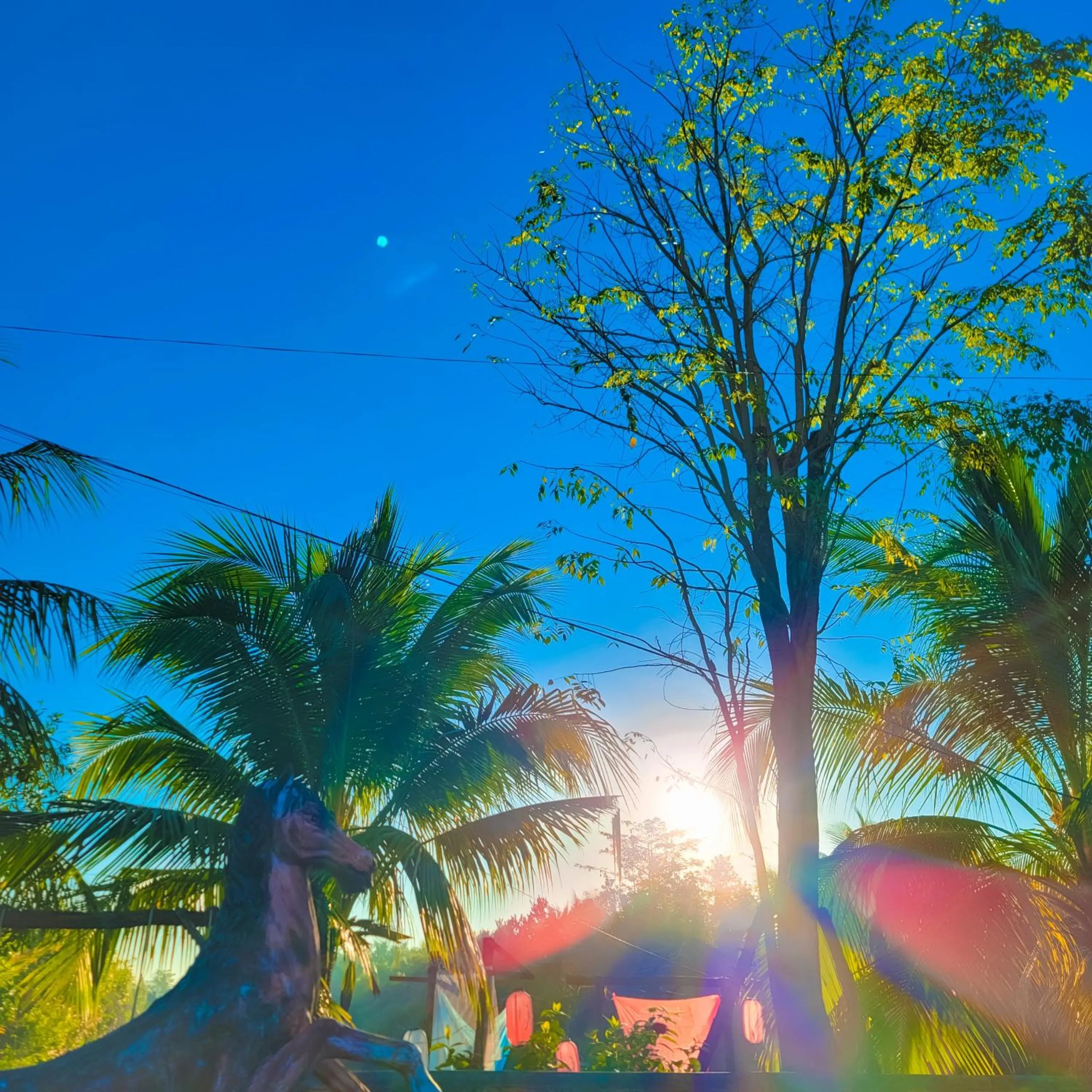 Garden in CASA ECO Mekong Resort