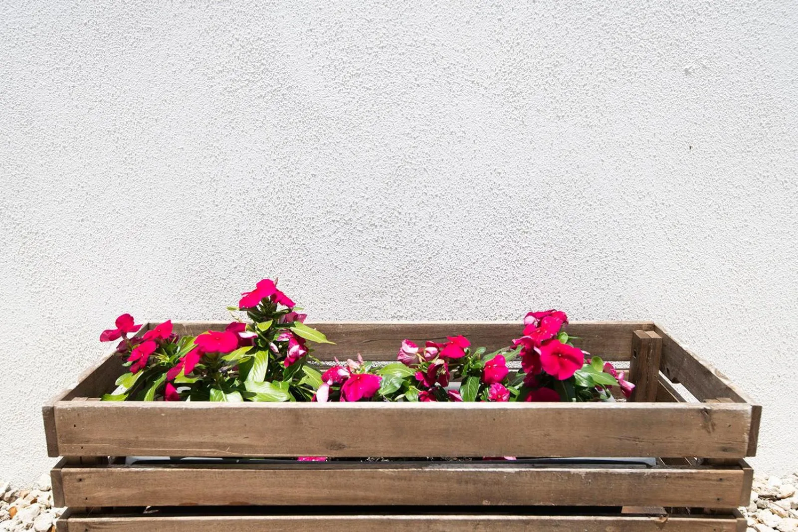 Casa Limonada Boutique Motel