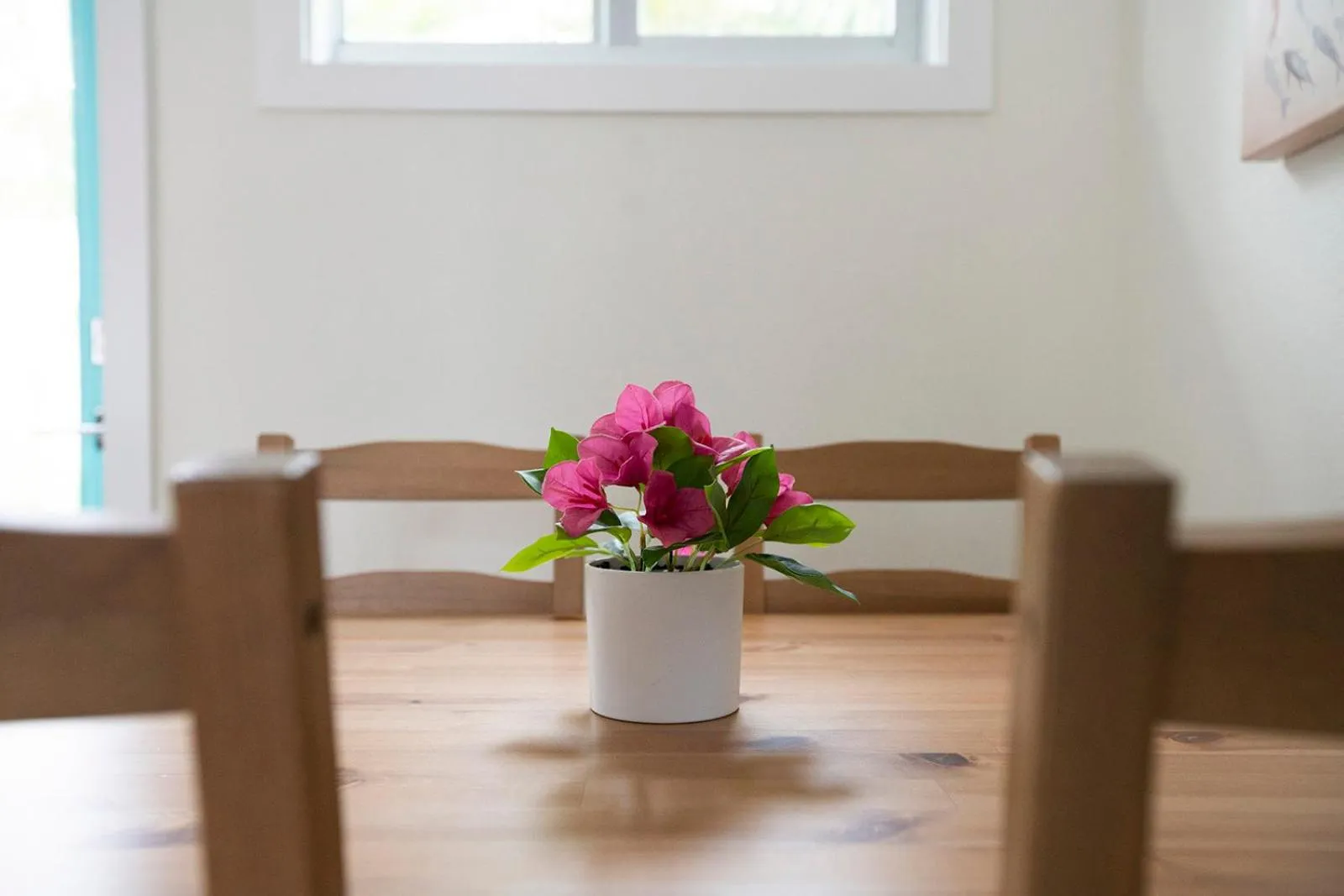 Casa Limonada Boutique Motel