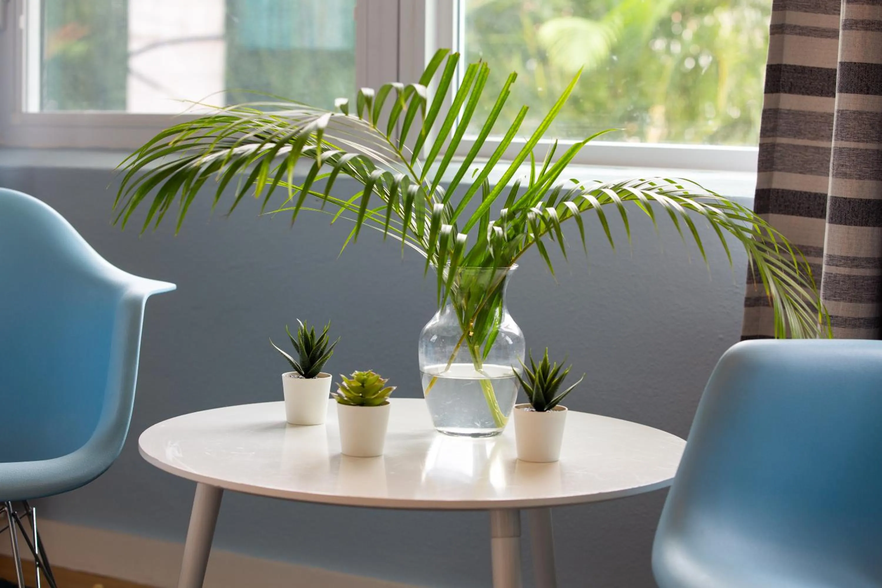 Casa Limonada Boutique Motel