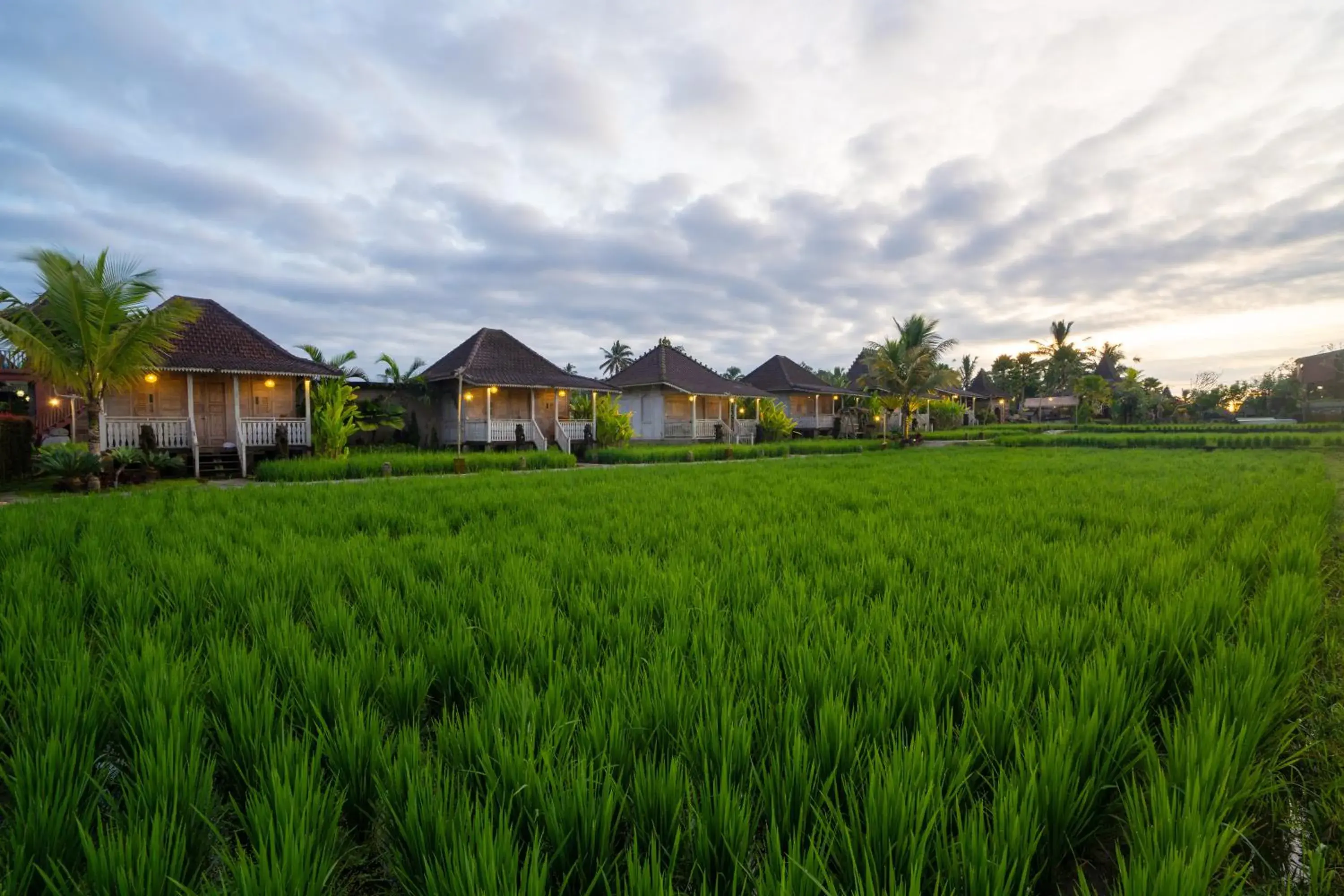 Deluxe Villa in Uma Sebatu Villa Ubud Deluxe Villa in Uma Sebatu Villa Ubud