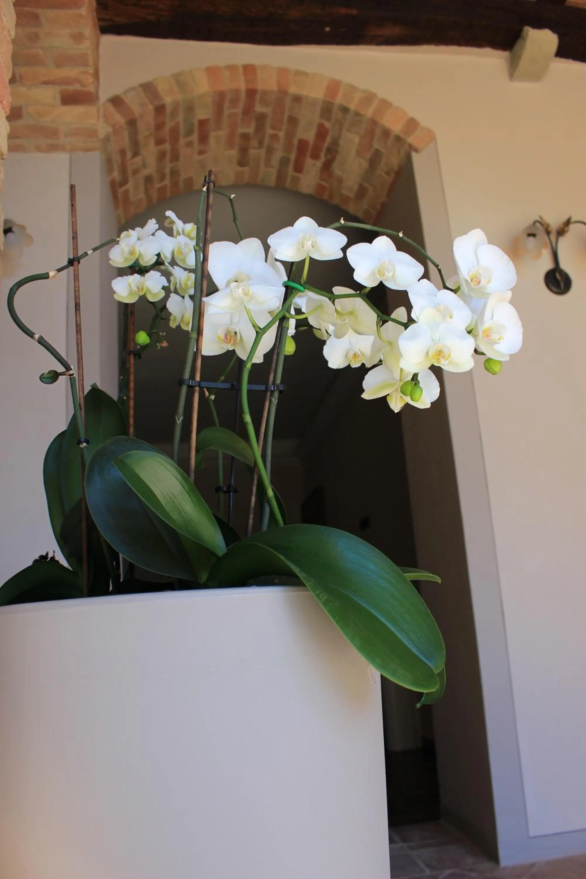 Lobby or reception in Dimora Cortese