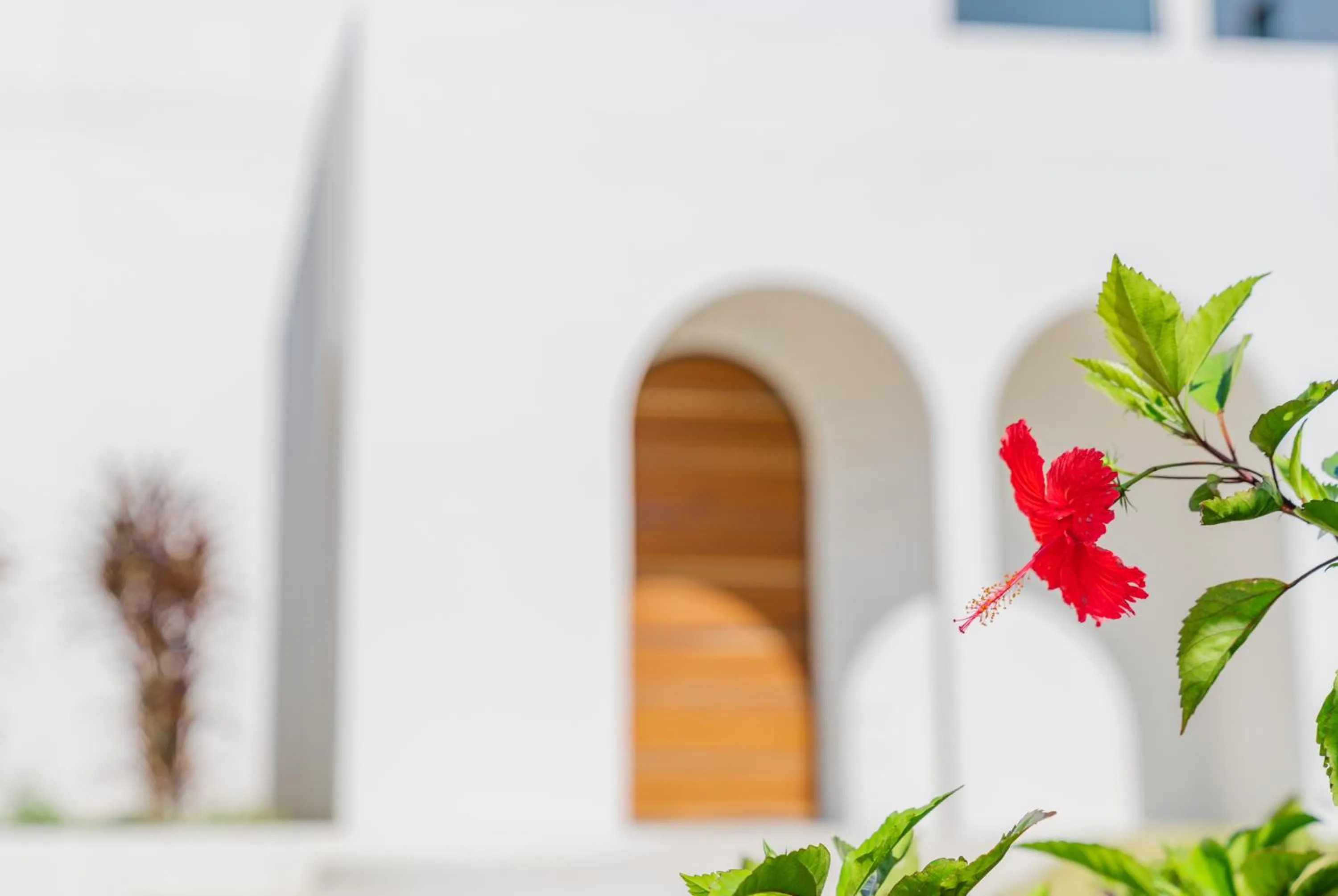 Property building in Grand Bleu Gamin