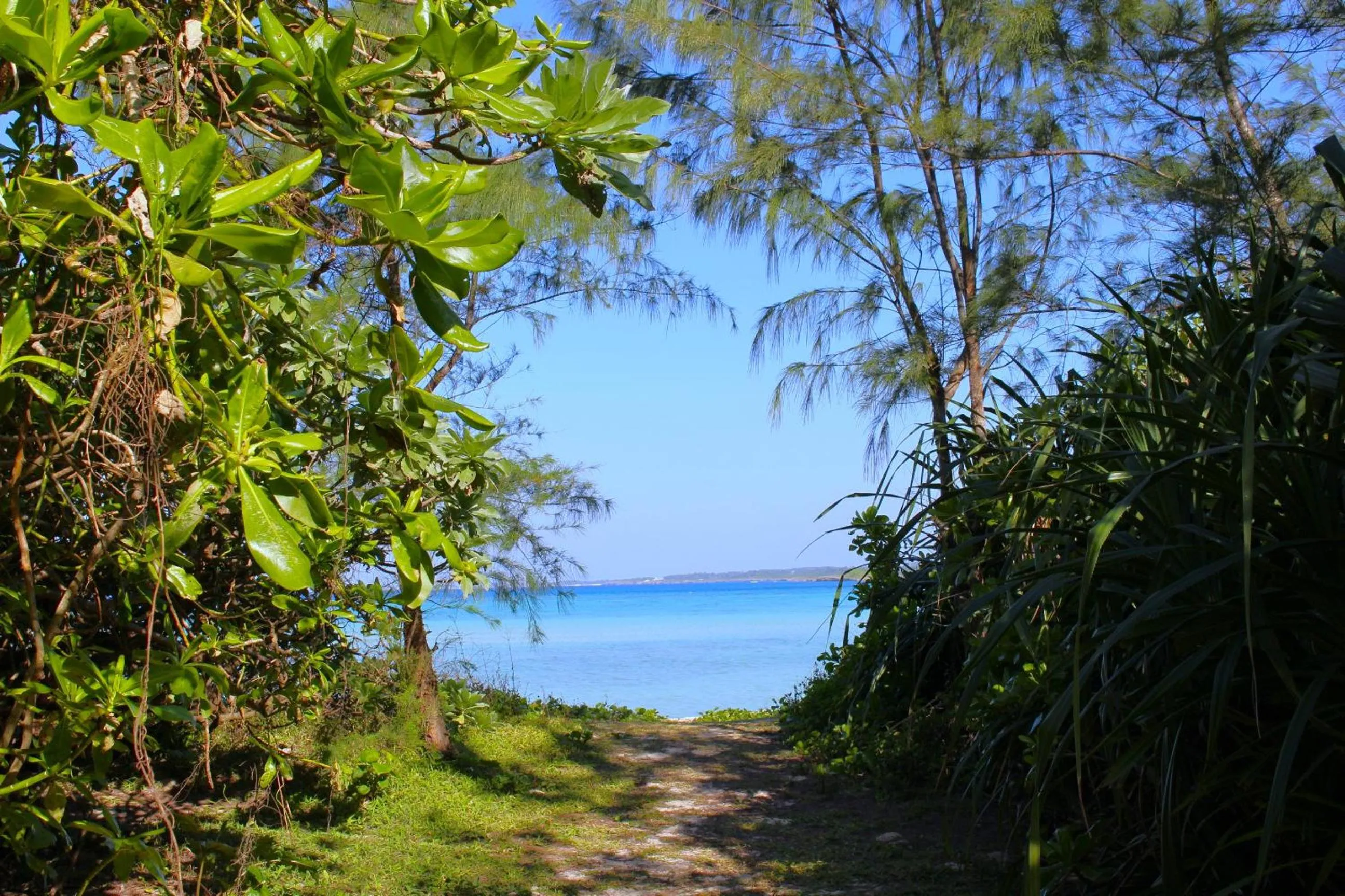 Beach in Grand Bleu Gamin
