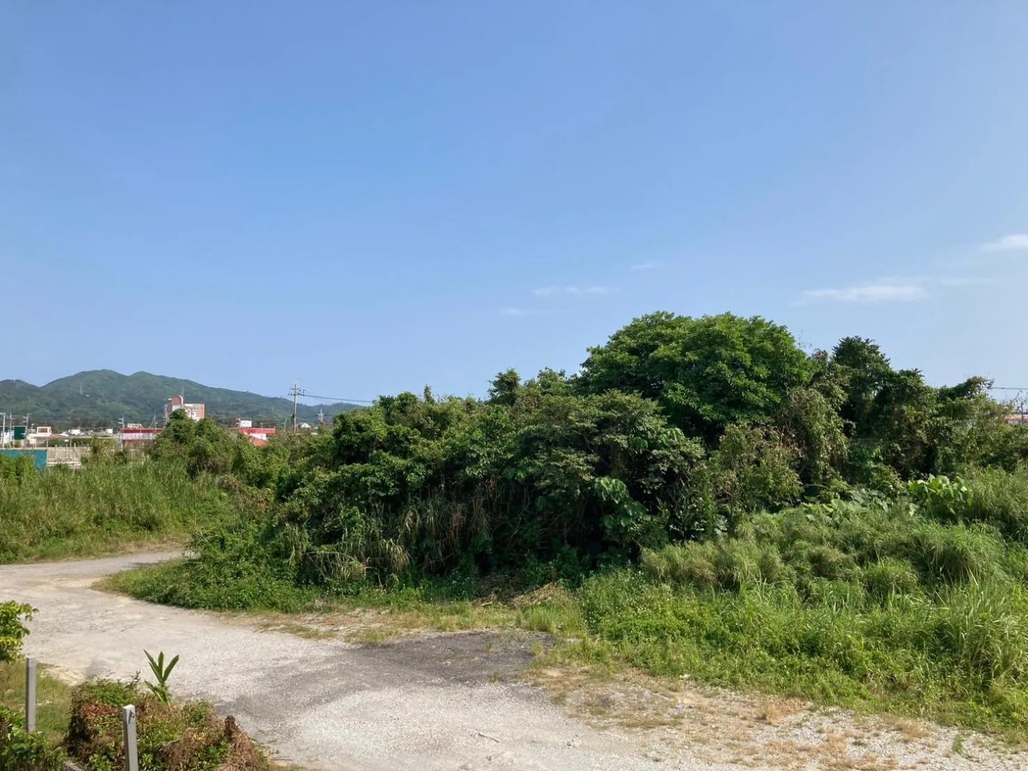 View (from property/room) in New Normal Hotel in NAGO ニューノーマルホテルイン名護