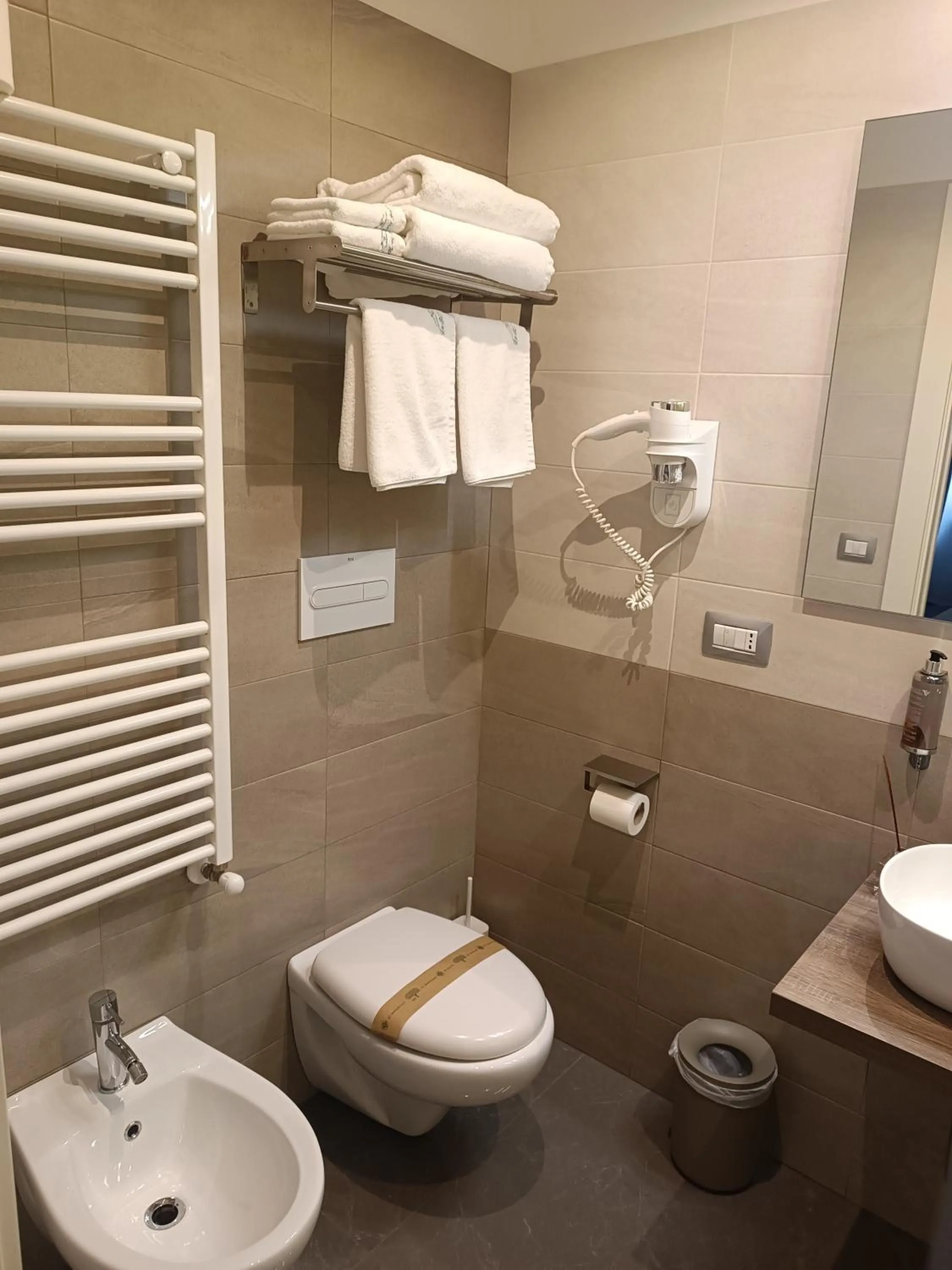 Toilet in B&B La Rosa Felice