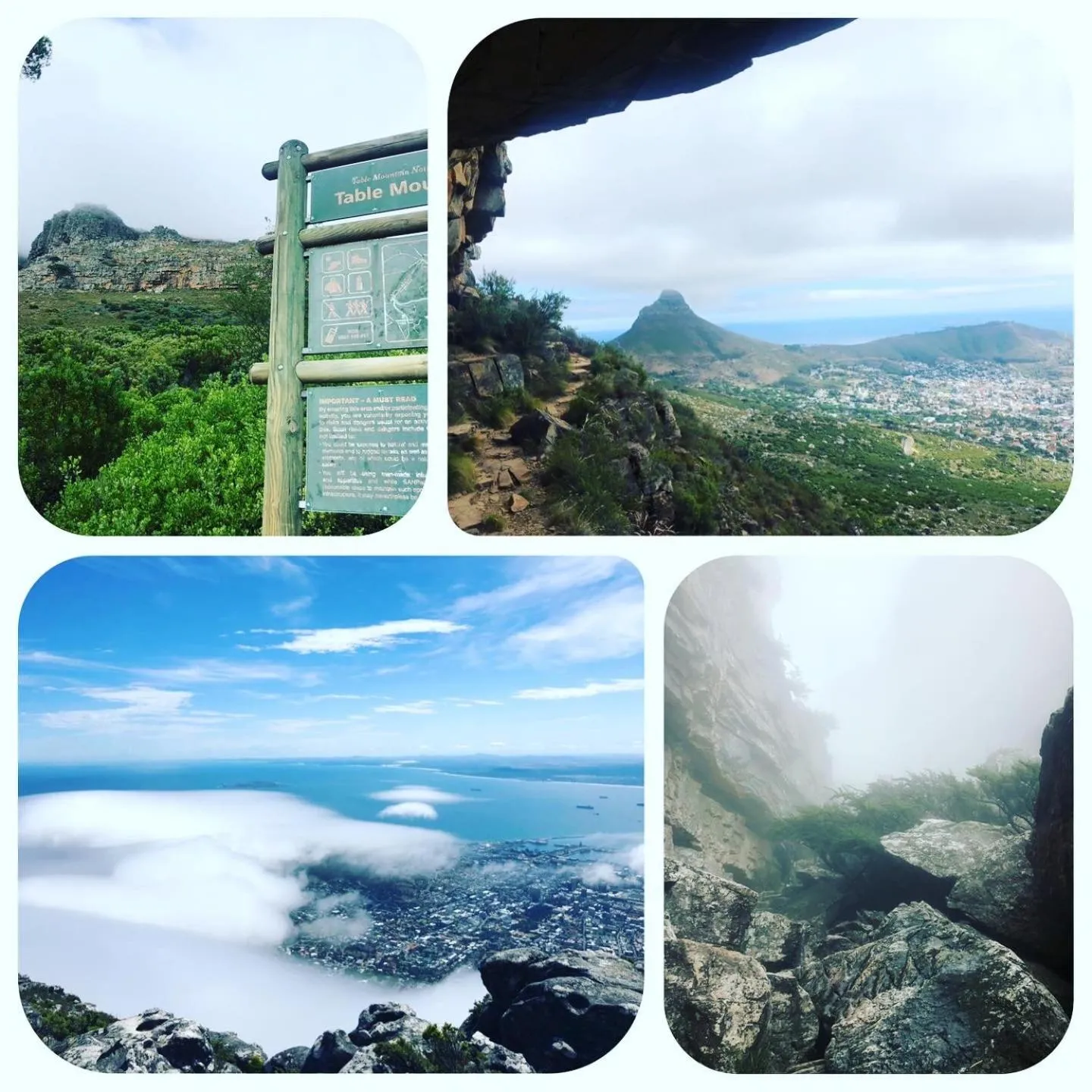 Entertainment in The Little Palm