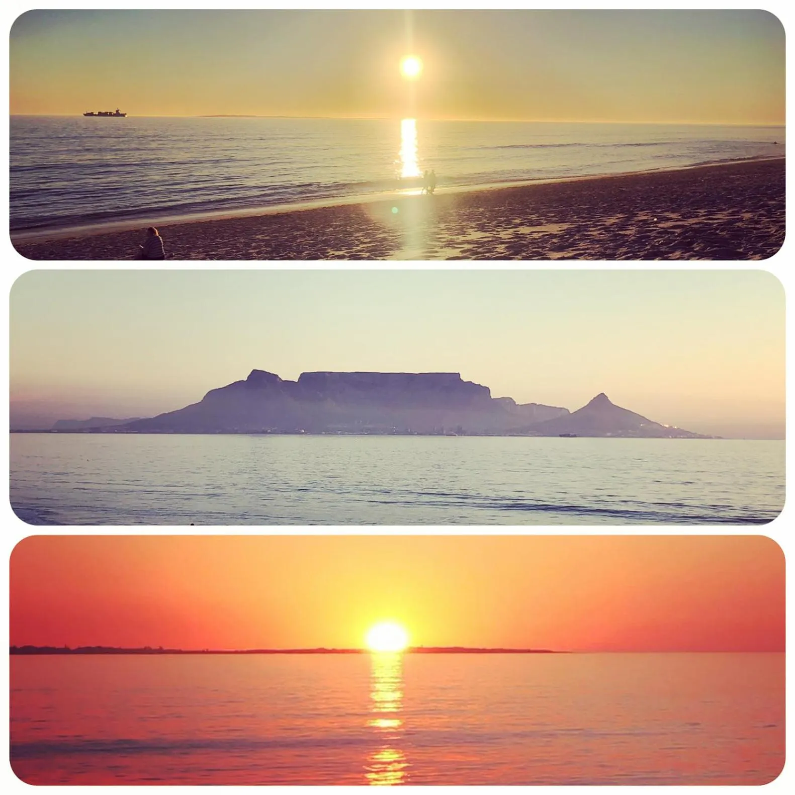 Staff in The Little Palm