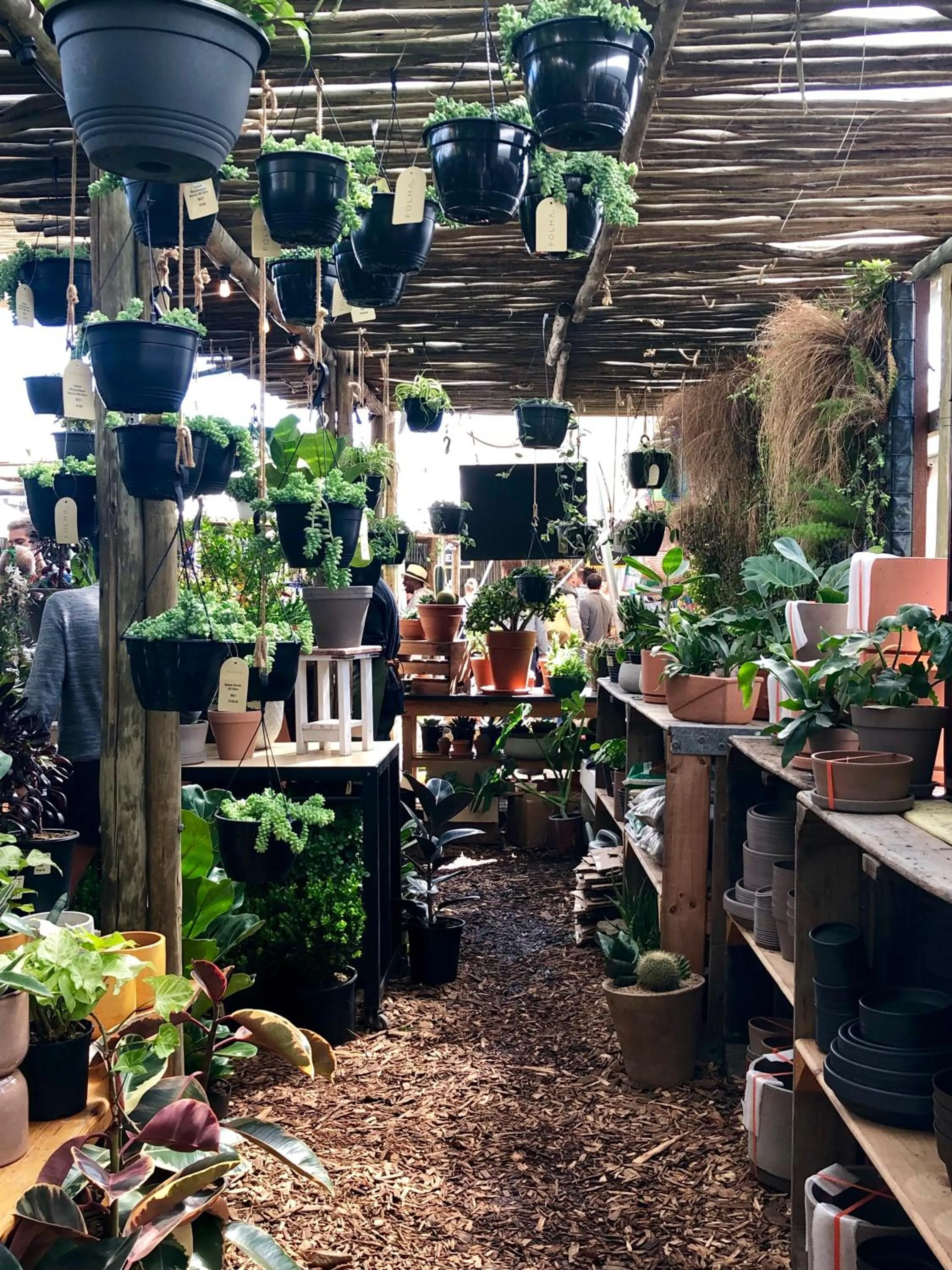 Other in The Little Palm