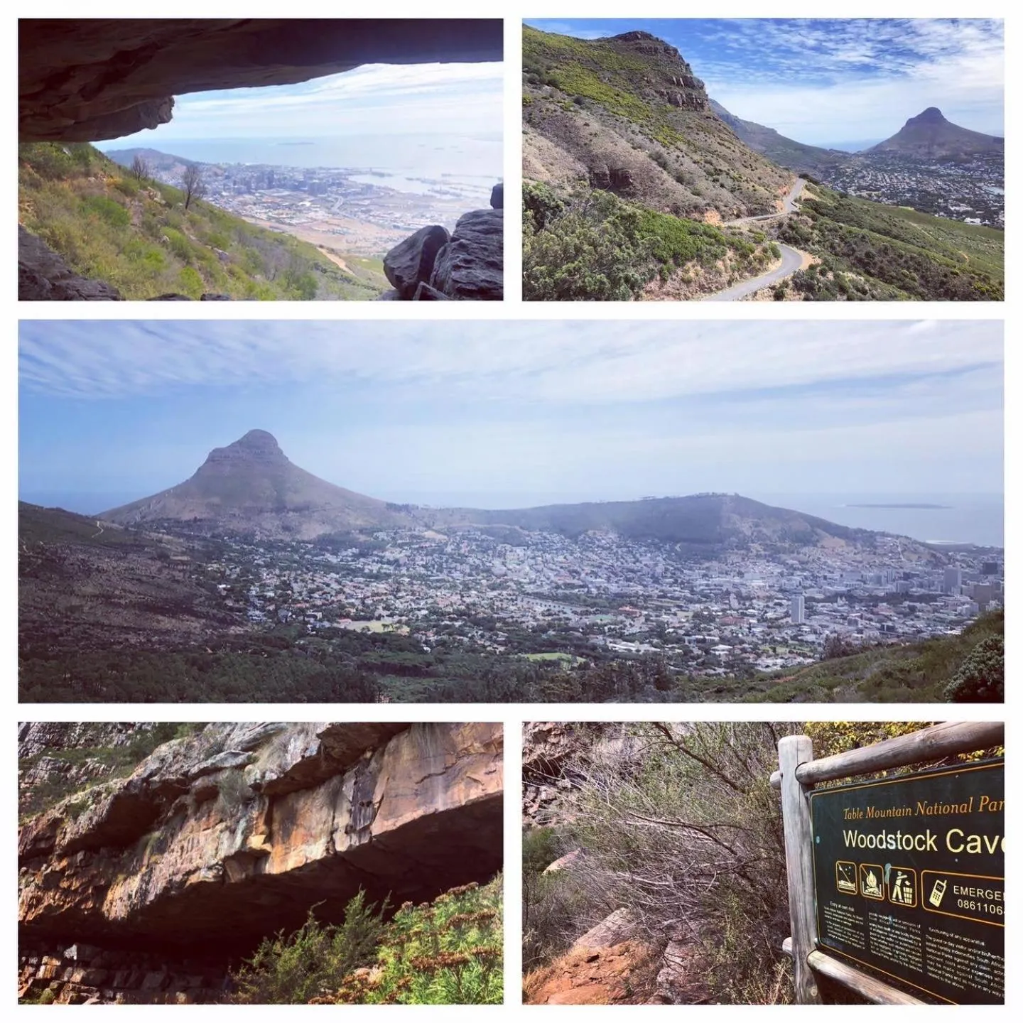 Staff in The Little Palm