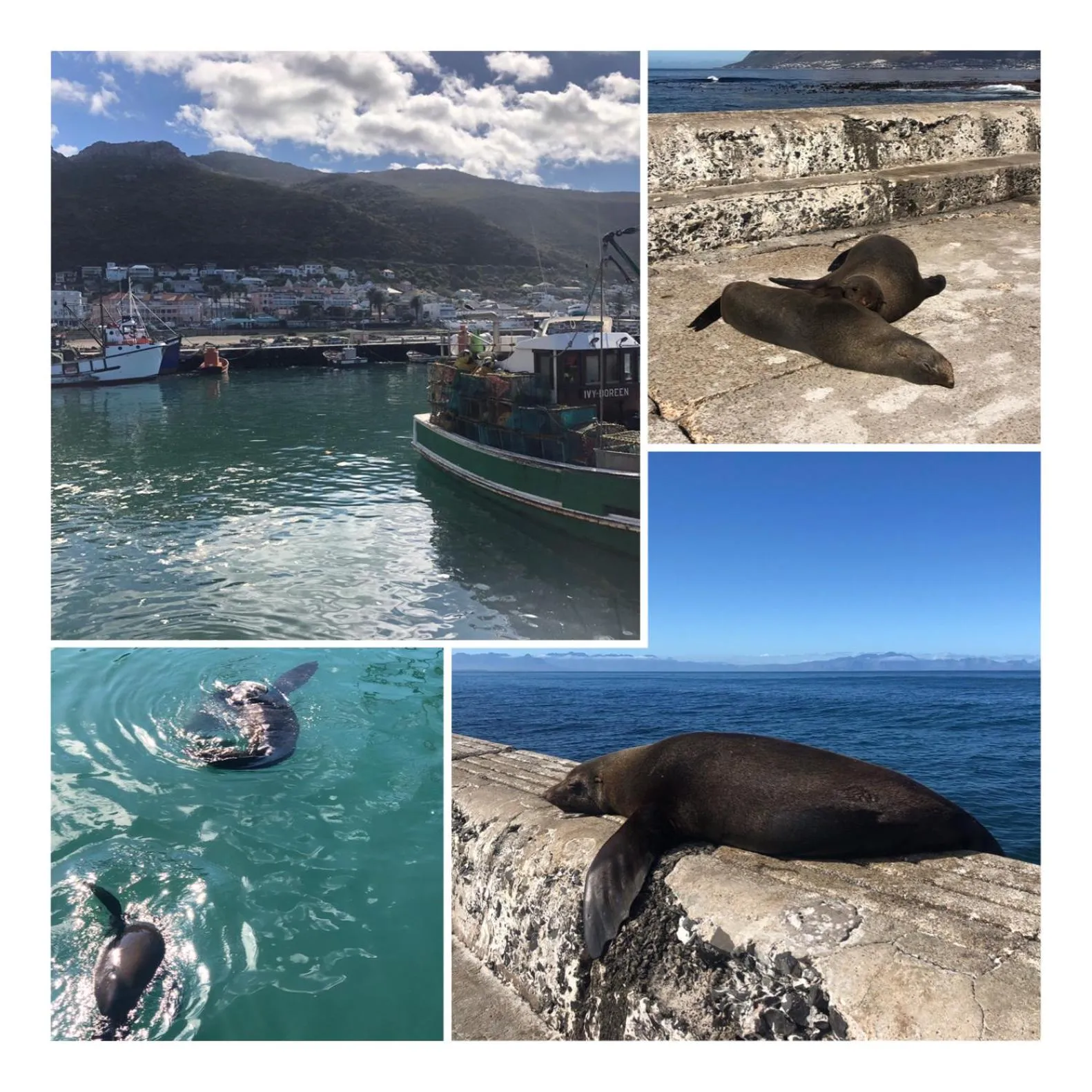 Text overlay in The Little Palm