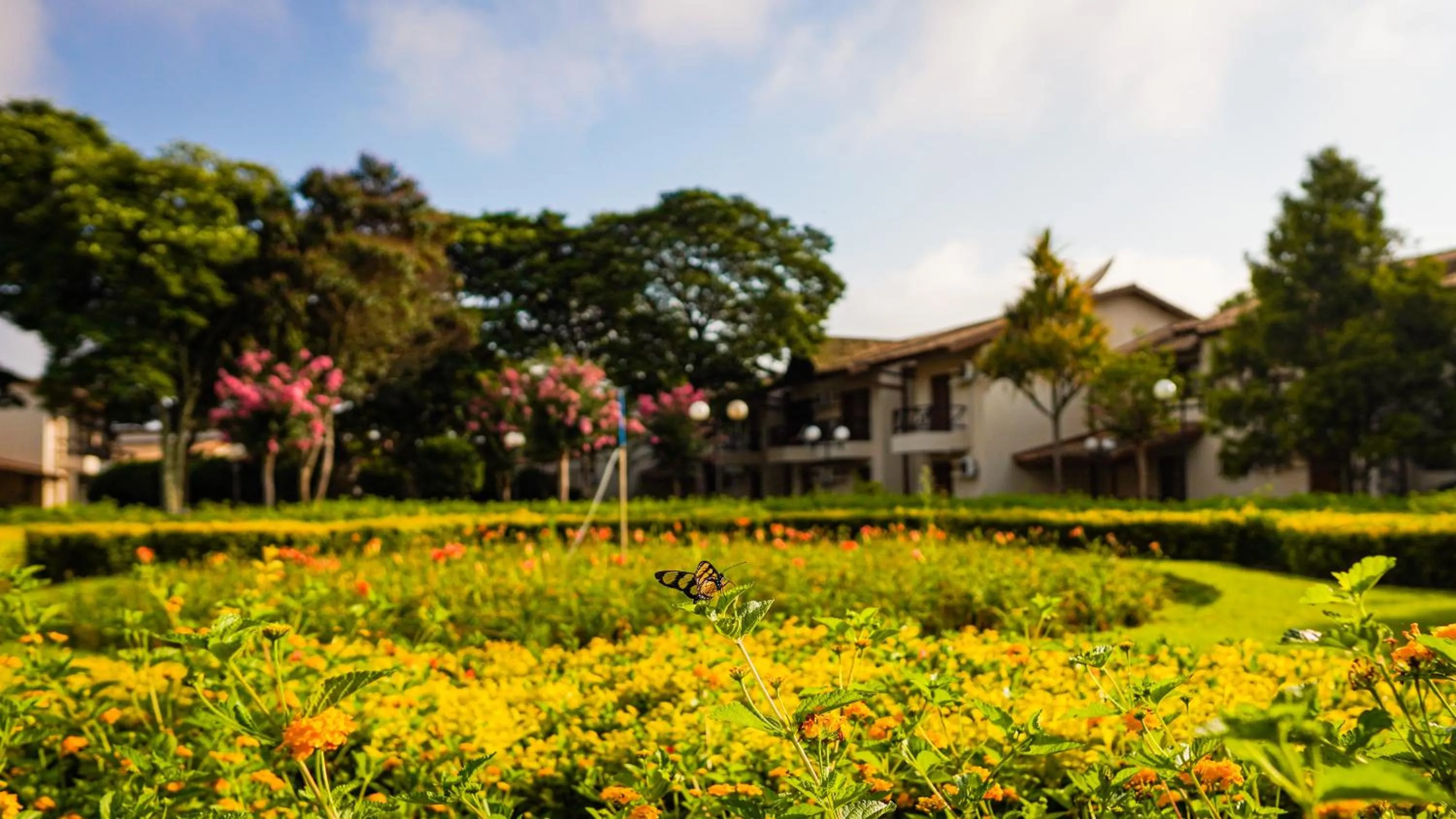 Garden in Hotel Villa Santo Agostinho