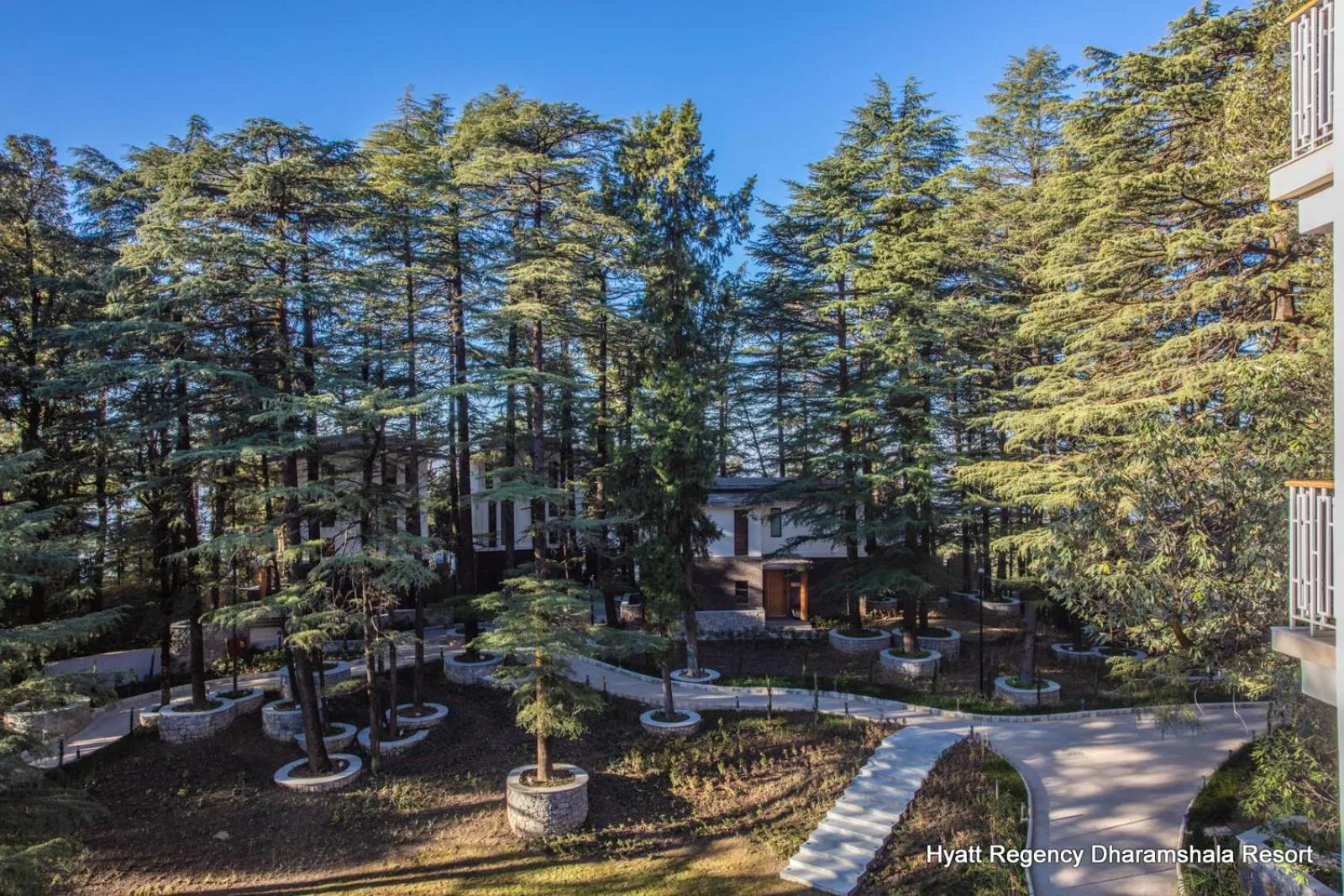 Garden view in Hyatt Regency Dharamshala Resort