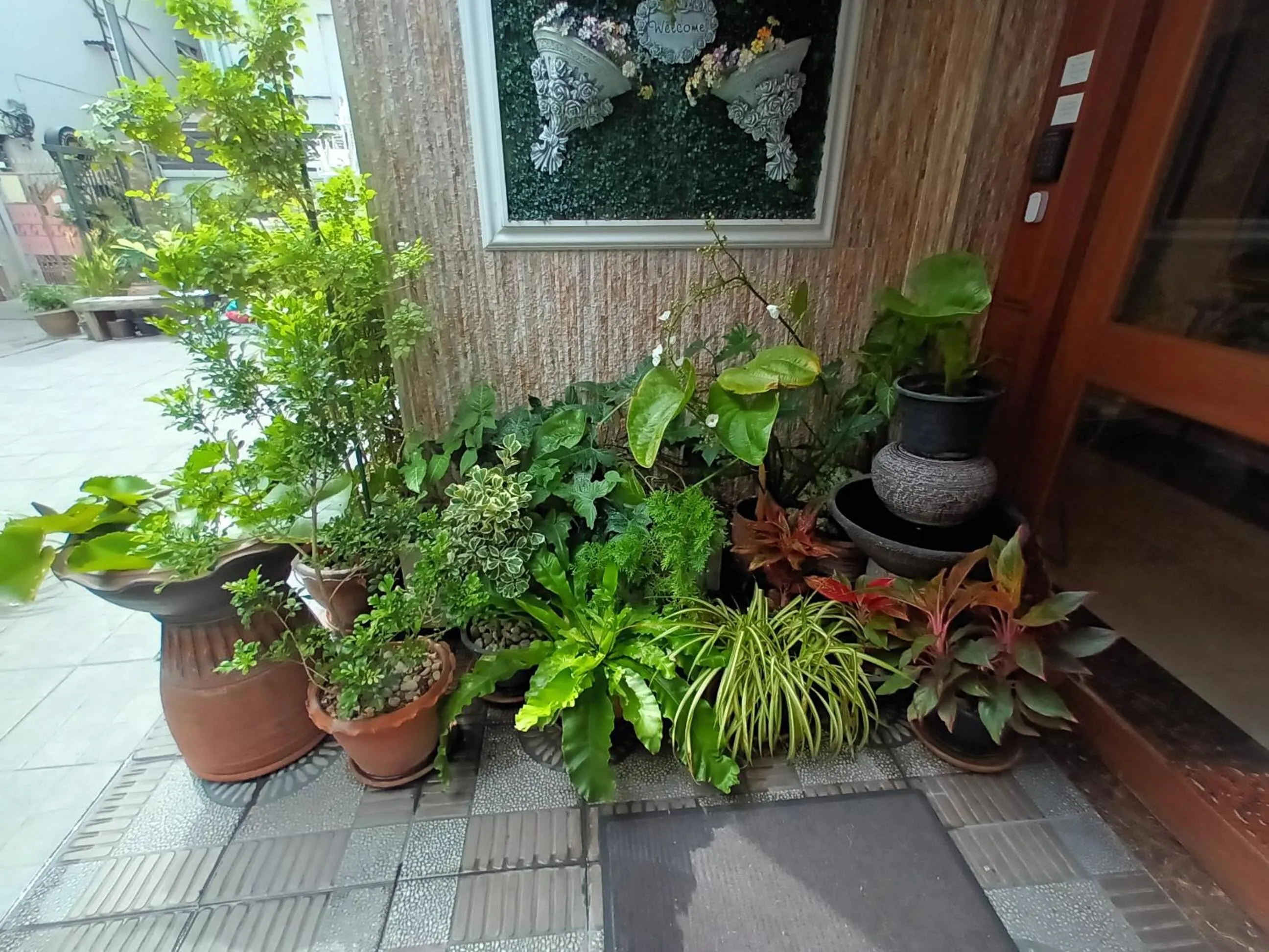 Spring in Cana Boutique Hotel