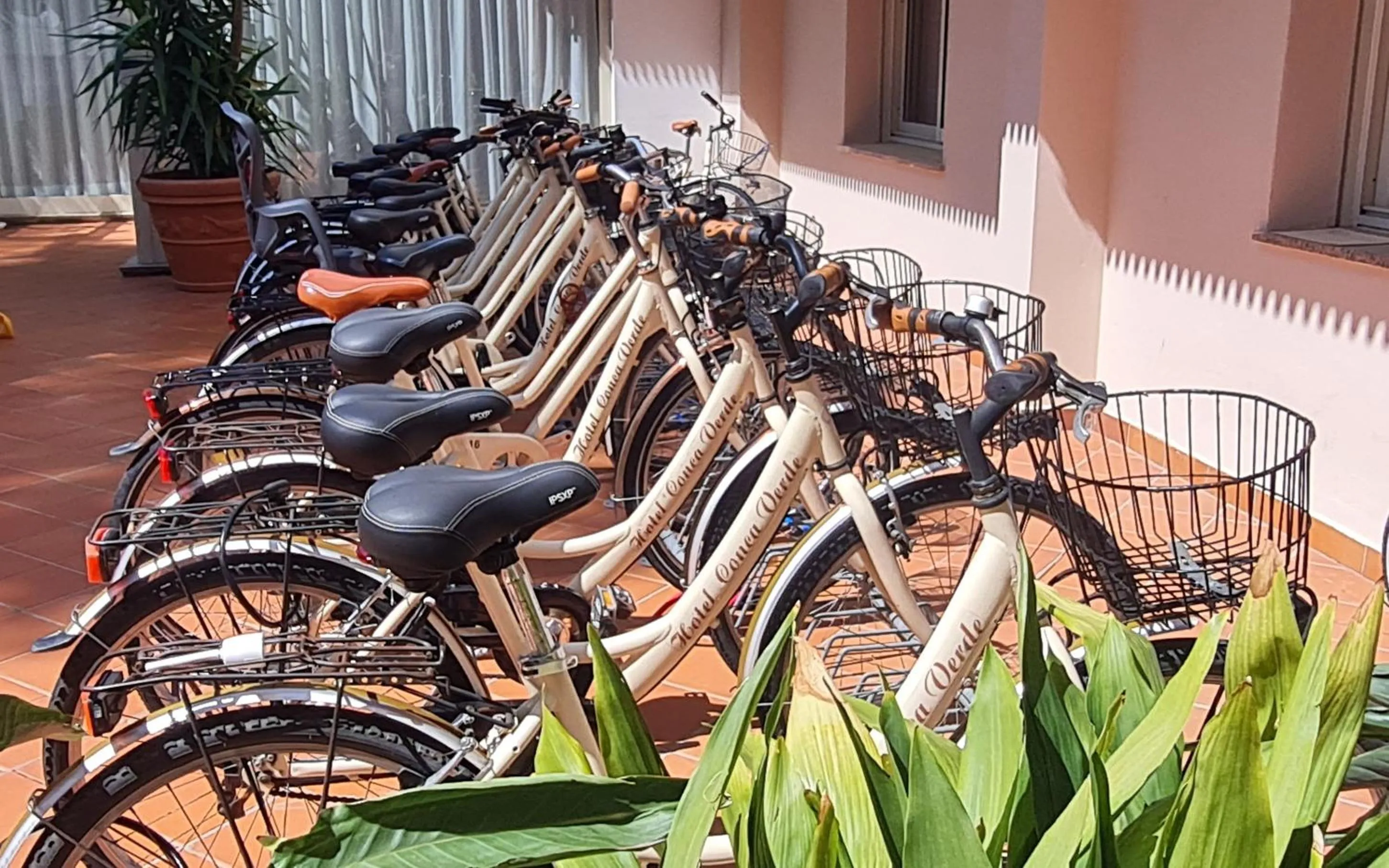 Area and facilities in Hotel Conca Verde