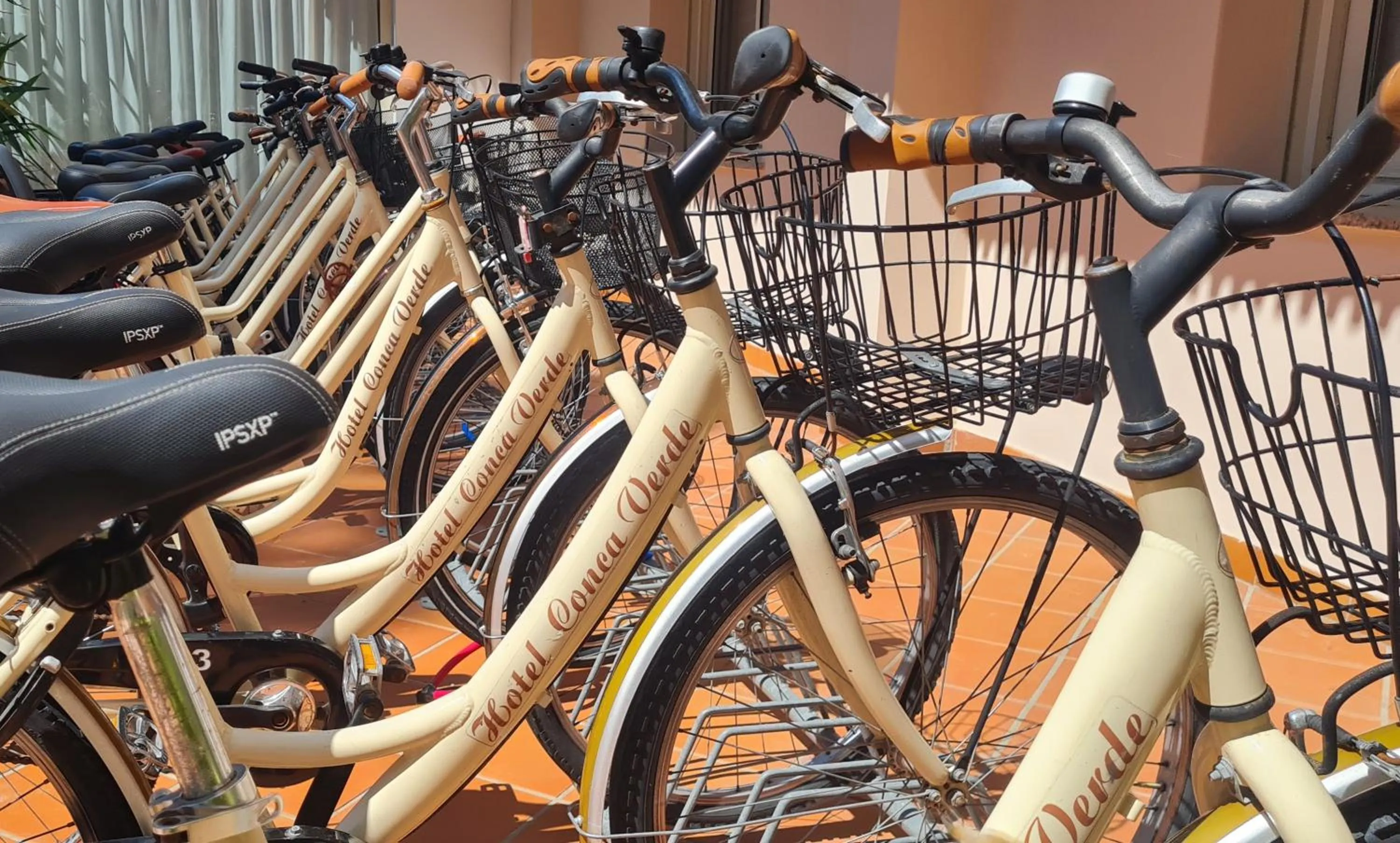 Area and facilities in Hotel Conca Verde