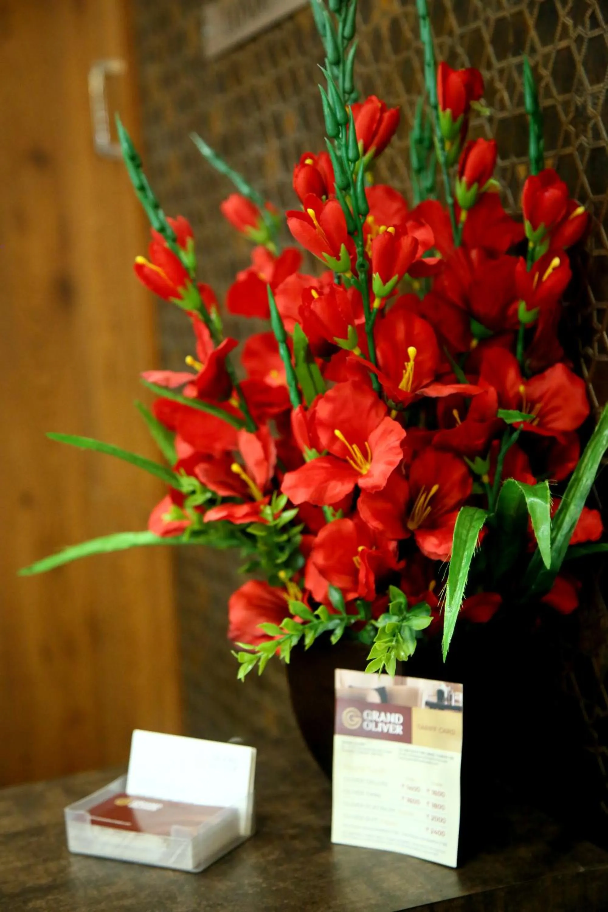 Property building in Grand Oliver