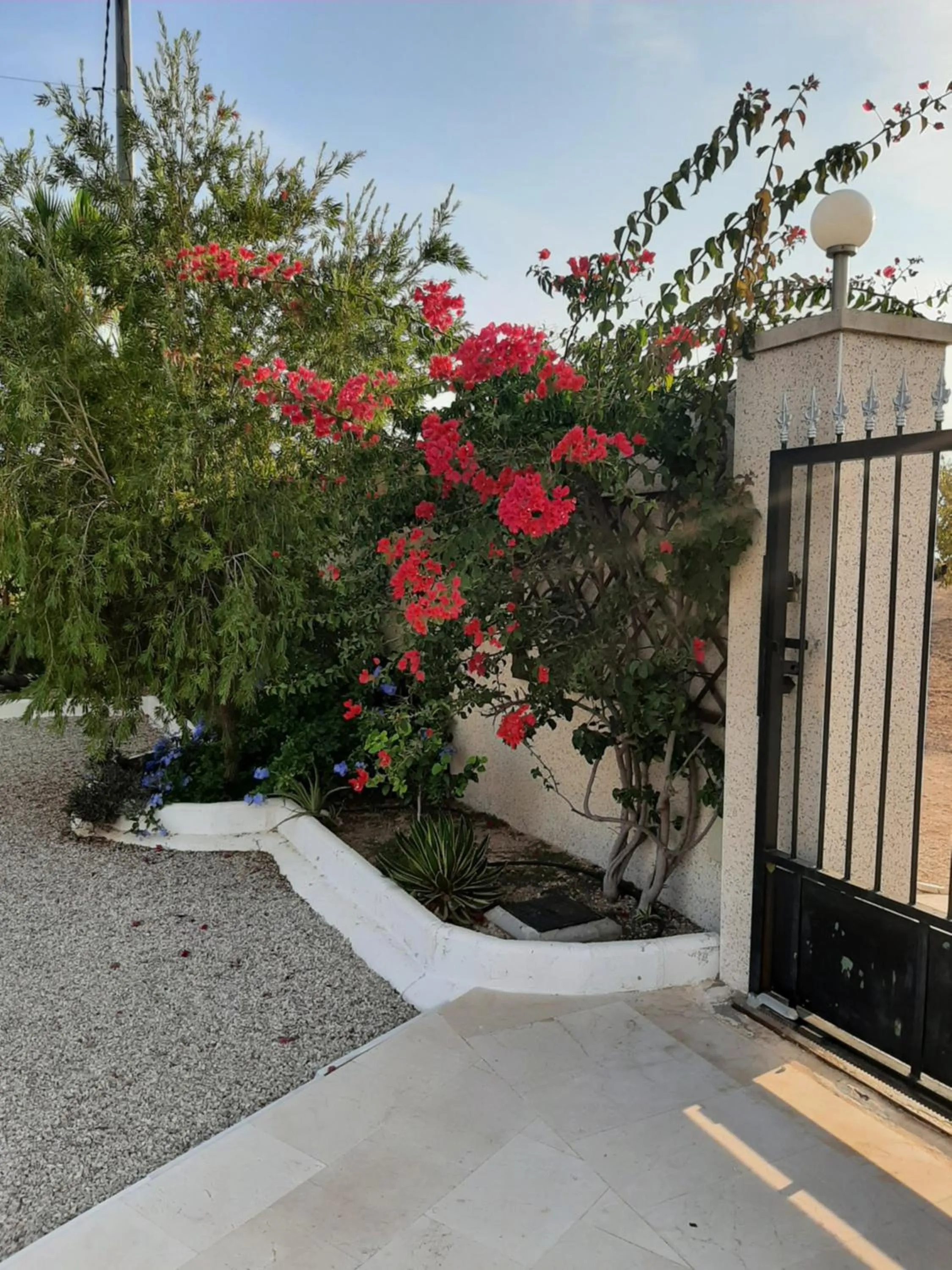 Garden view in La Dolce Vita