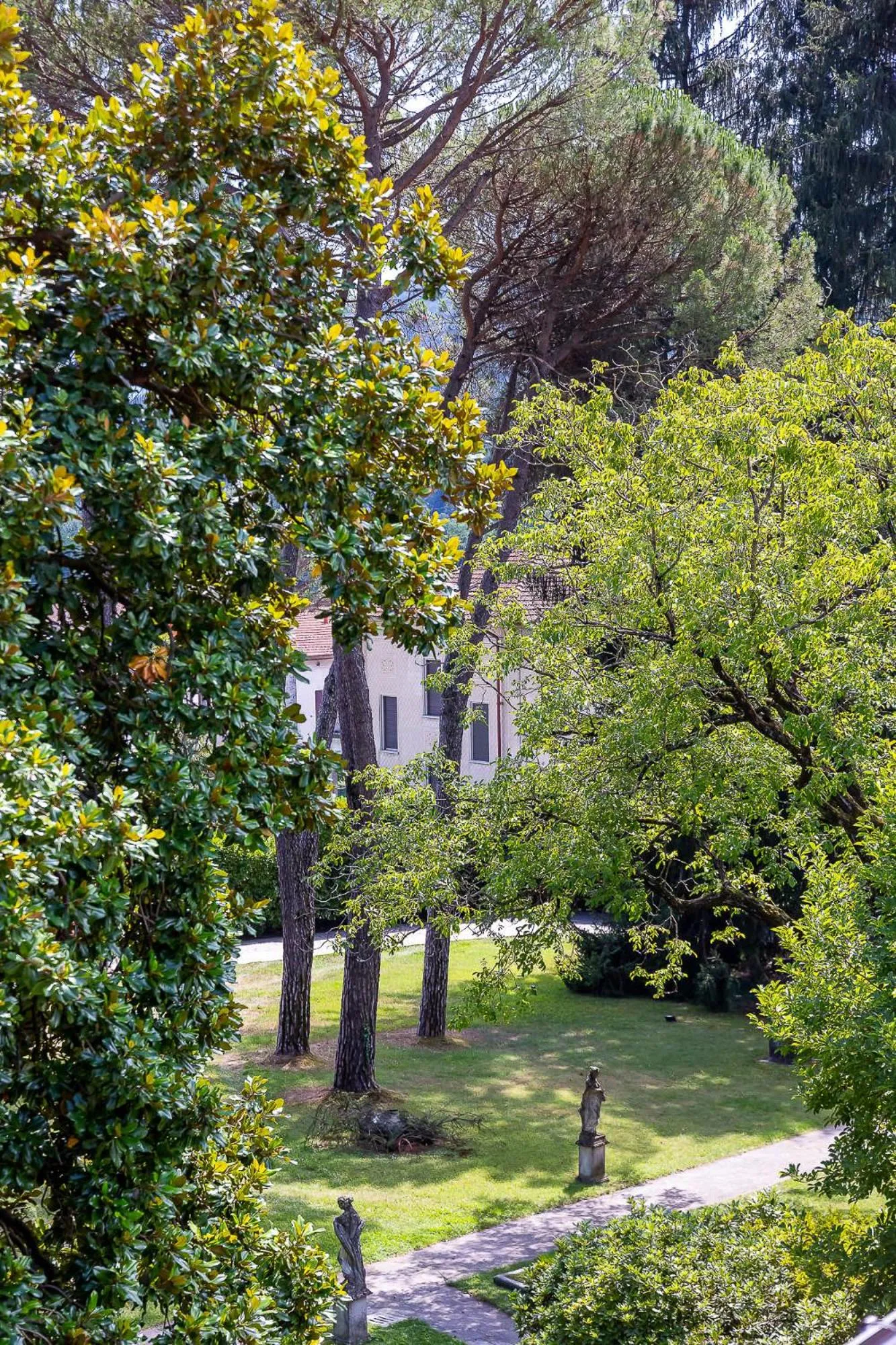 Garden in Villa Sarchi
