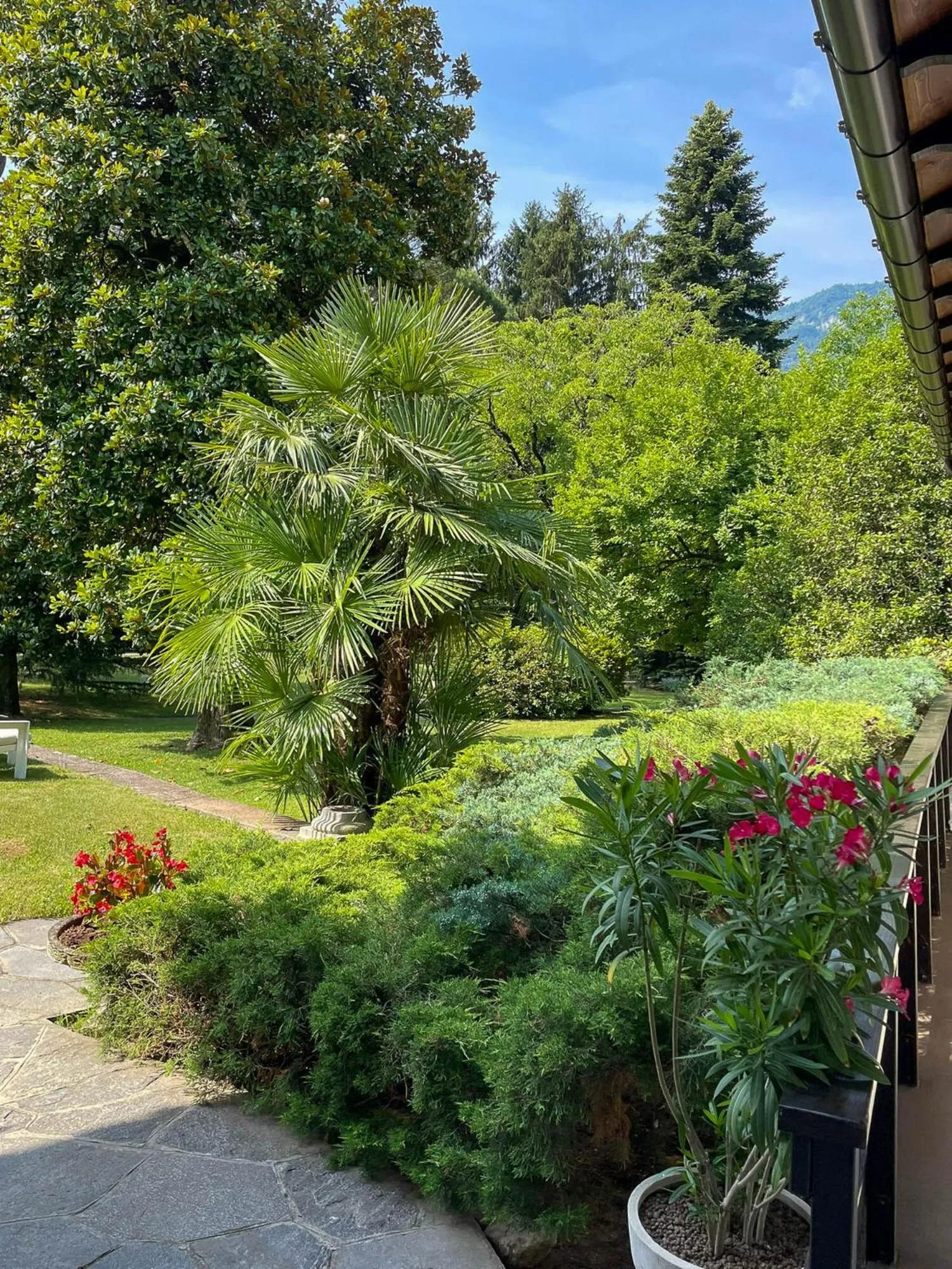 Garden in Villa Sarchi