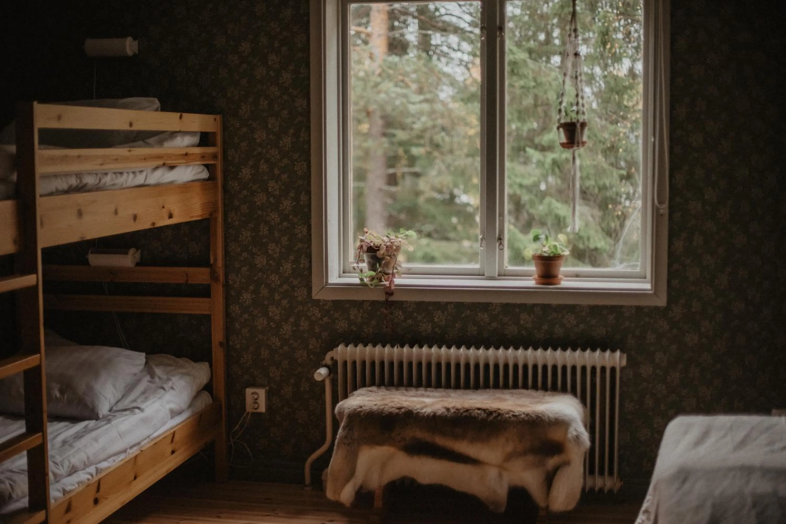 bunk bed, Bed in Turistgården Särna