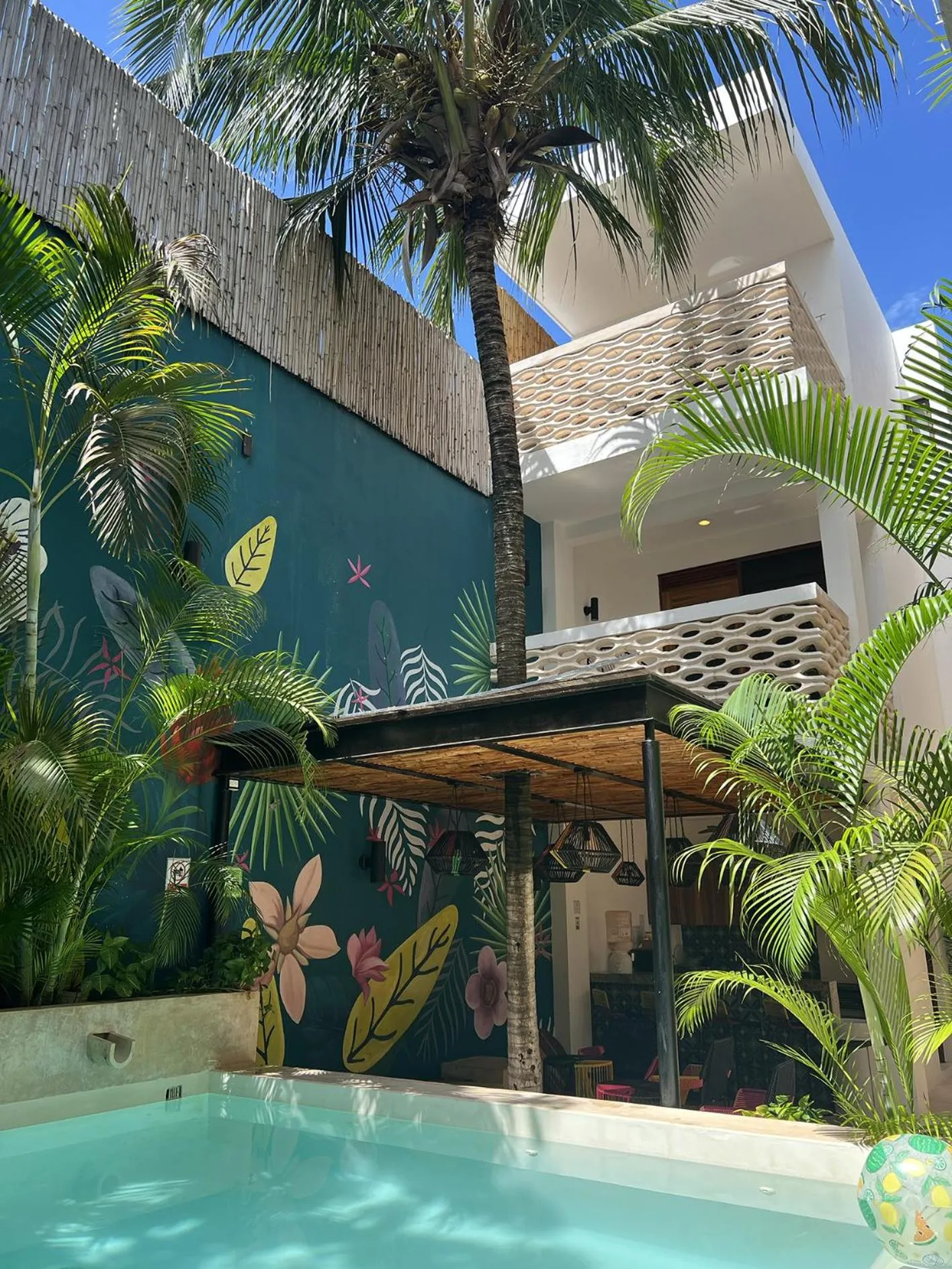 Garden in Latino Hotel Boutique