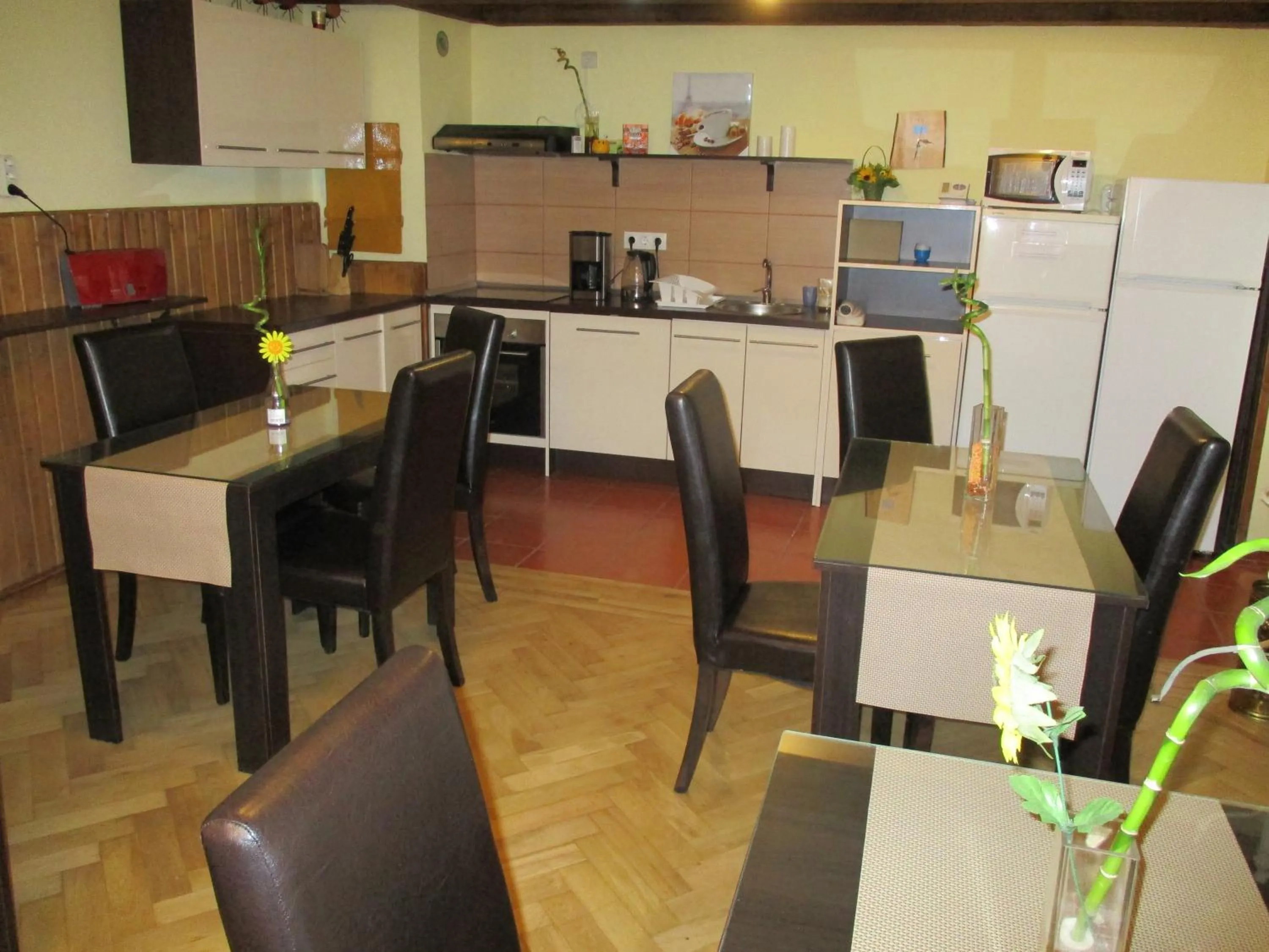 Communal kitchen in Casa Soare check-in independent