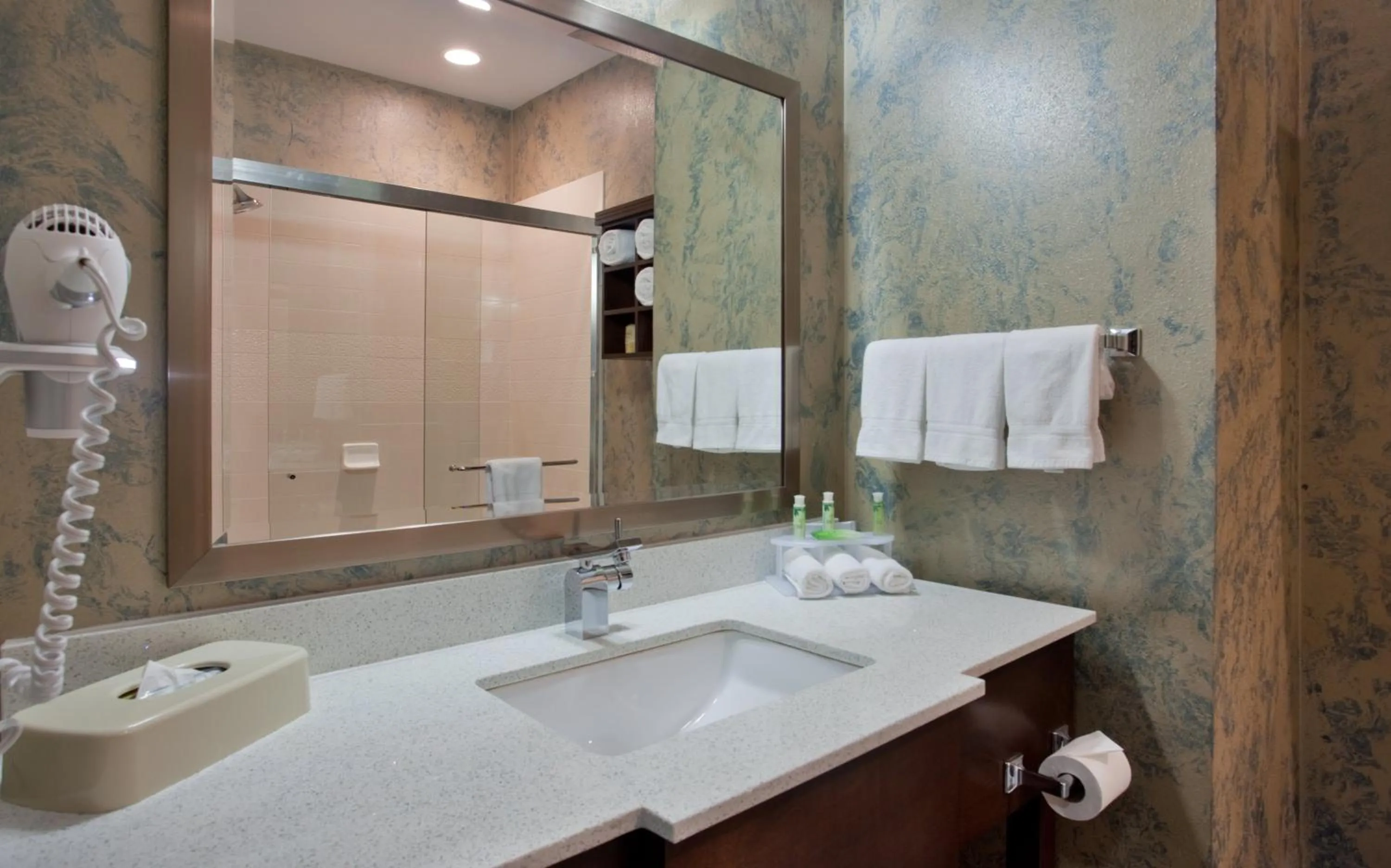 Bathroom in Holiday Inn Express & Suites St Louis Airport by IHG