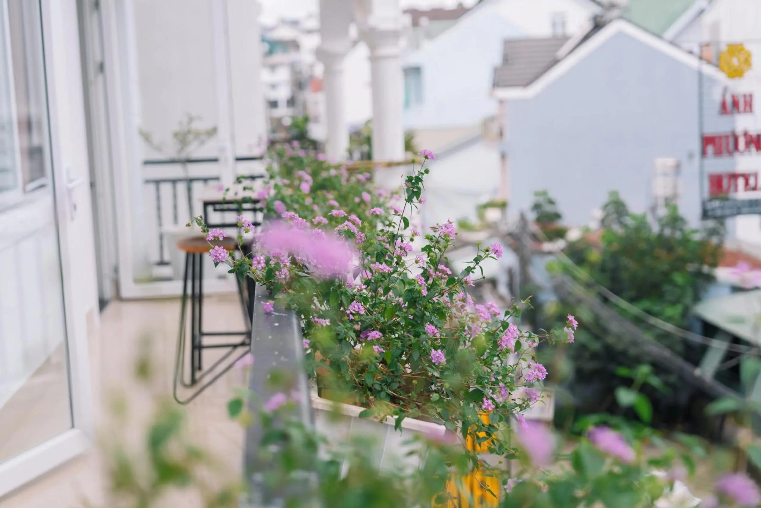 Property building in Cherry House Đà Lạt