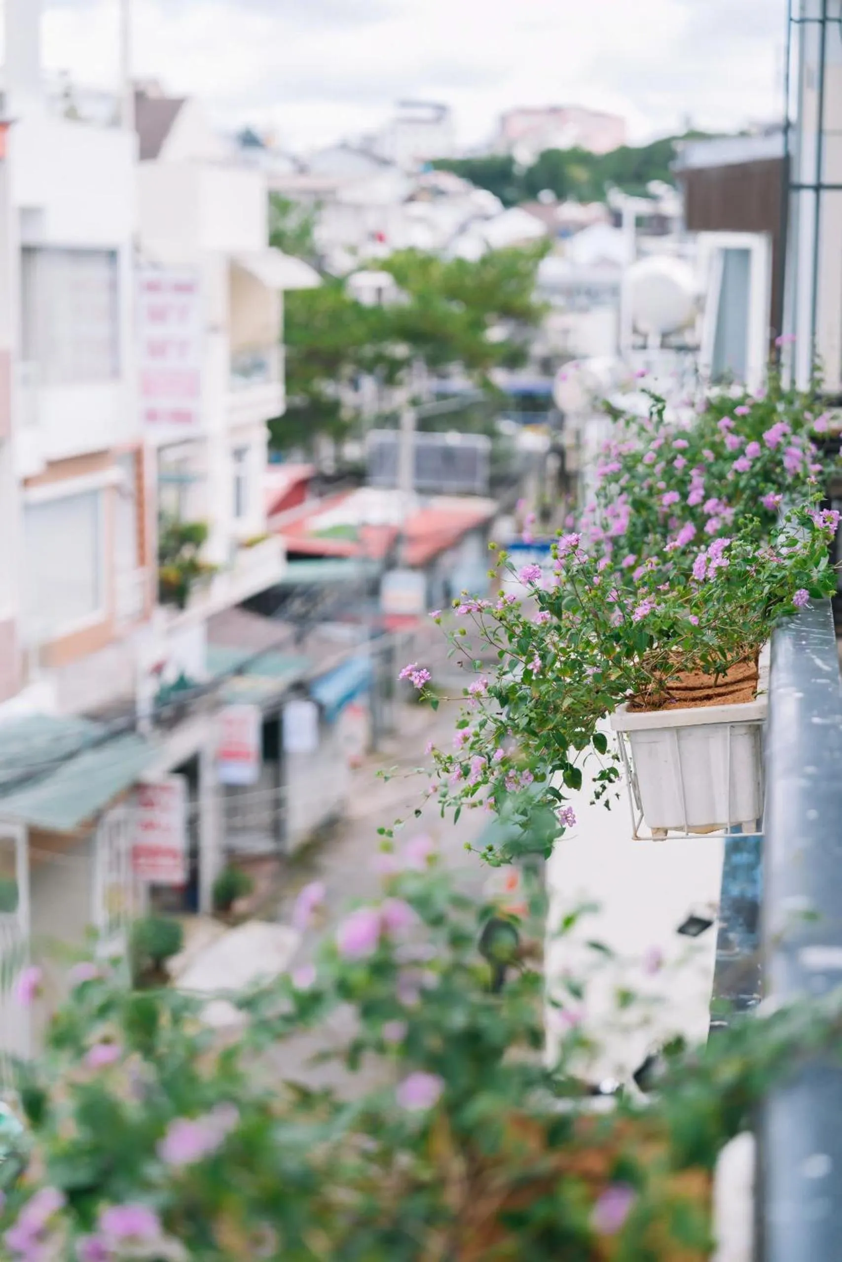 Lobby or reception in Cherry House Đà Lạt