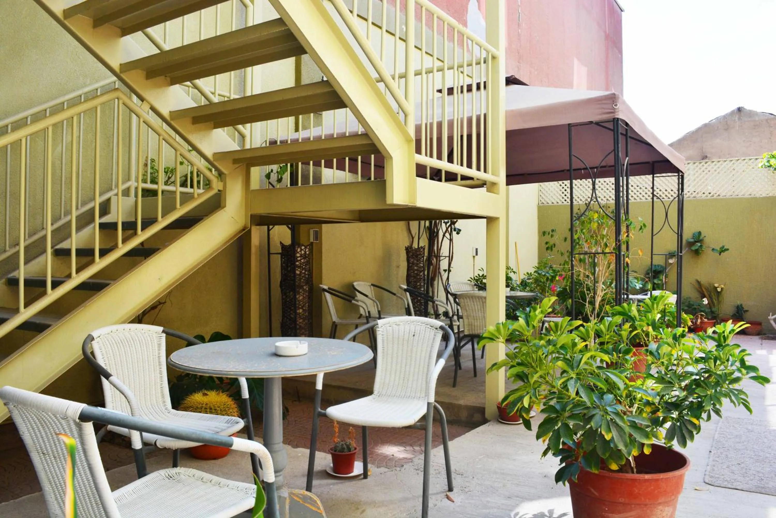 Garden in Hotel San Francisco De la Selva