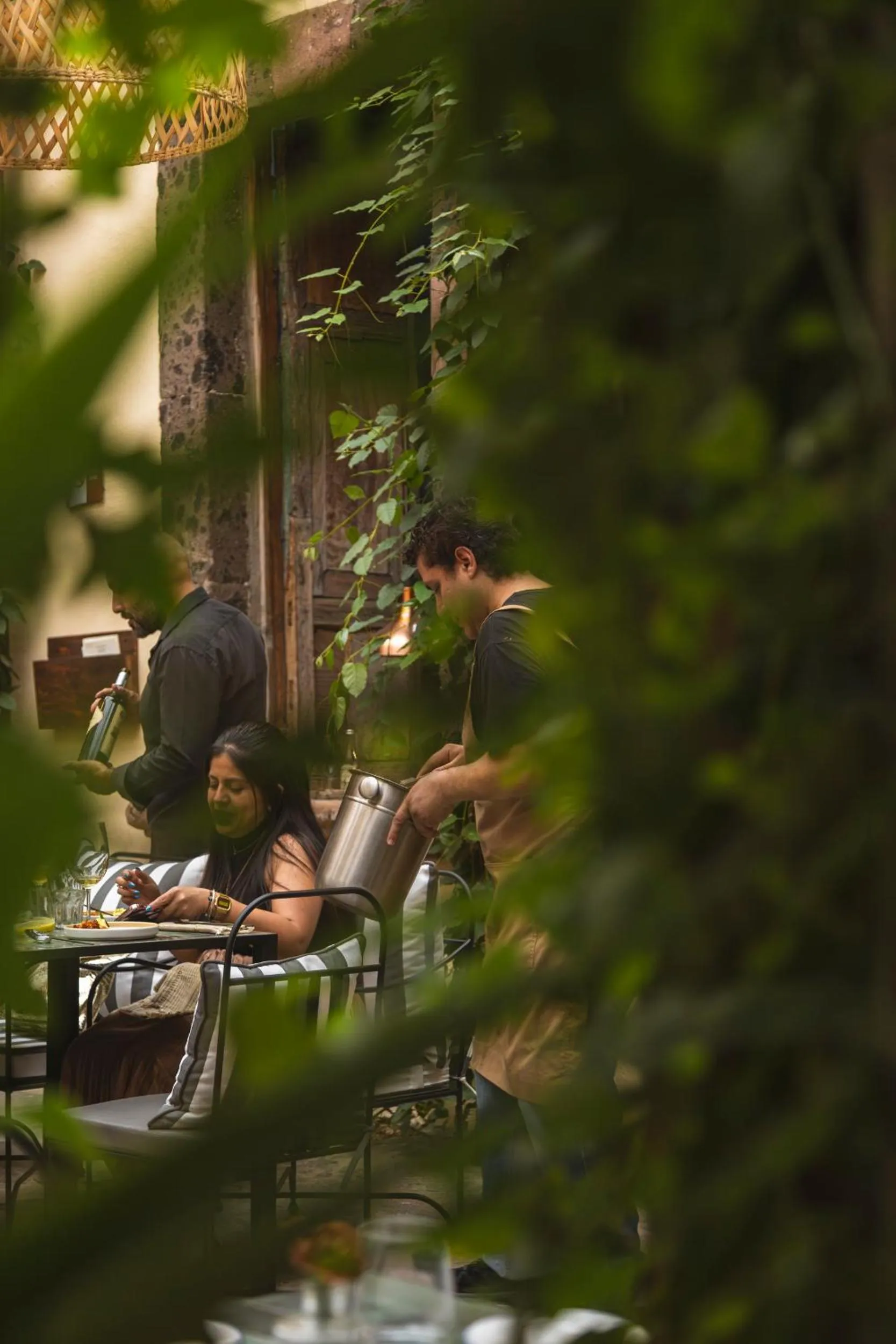 Garden in Casa Hoyos - Hotel Boutique