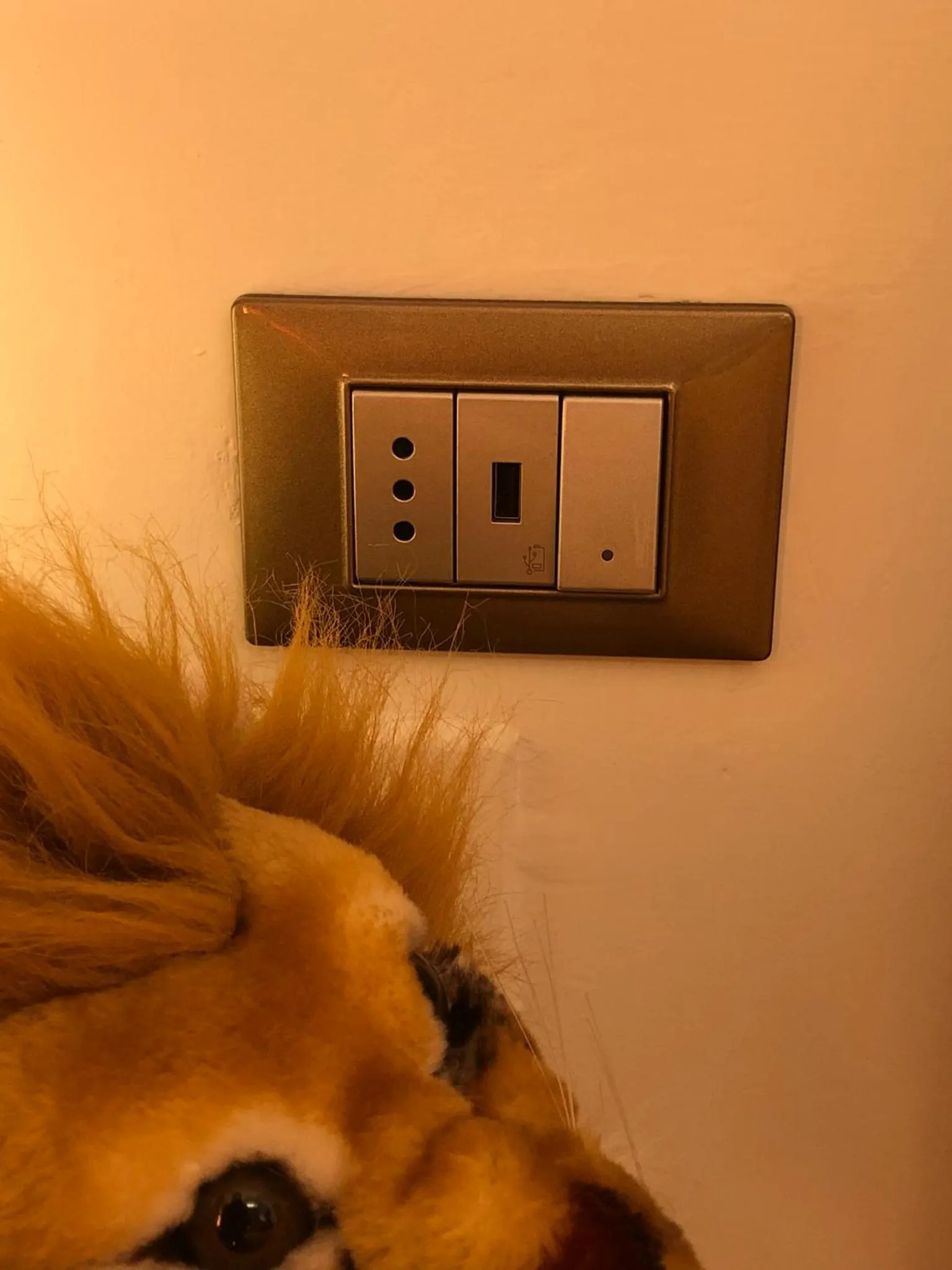 Jenny's Country Dreamhouse