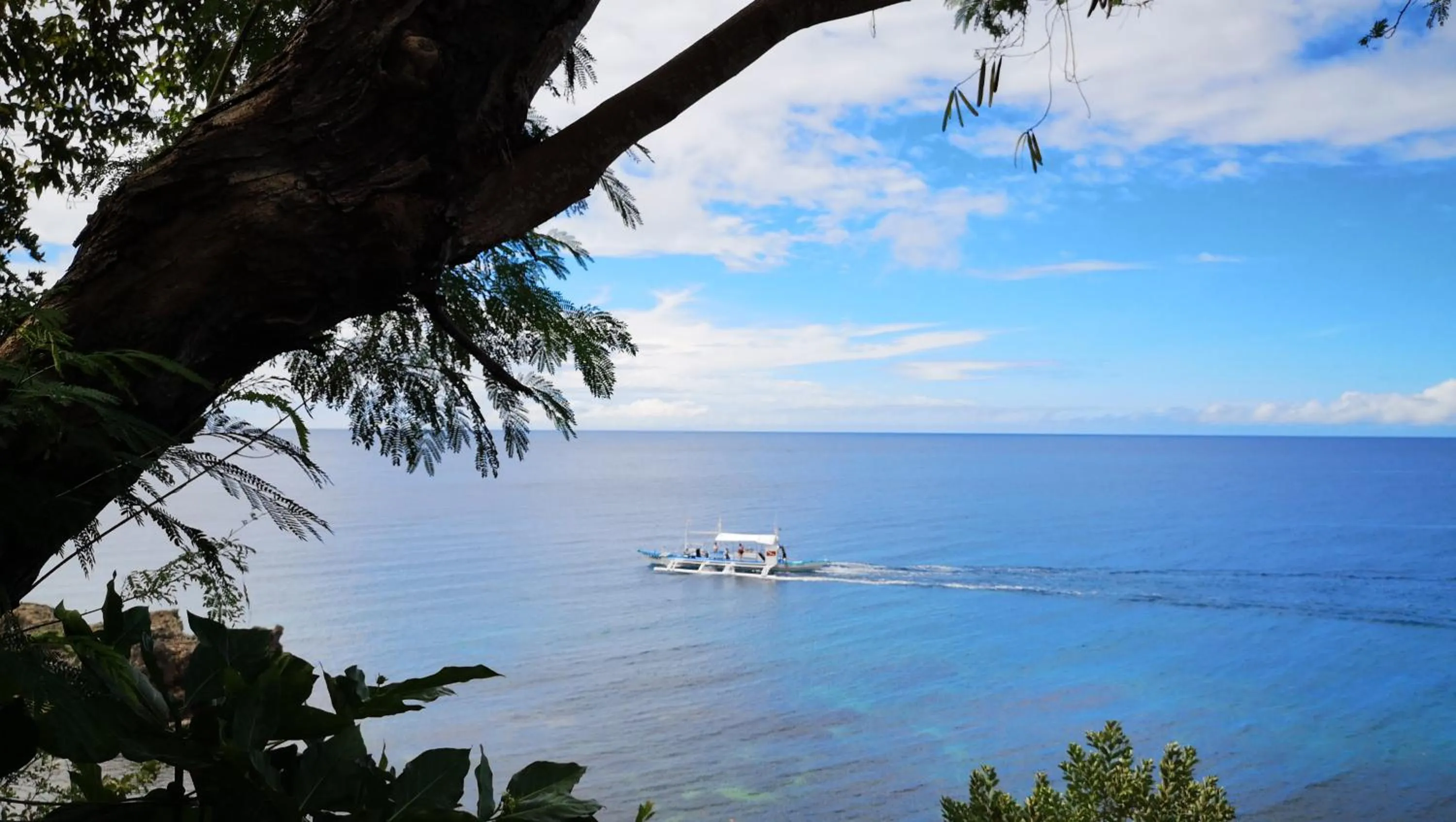Bohol-Lahoy Dive Resort