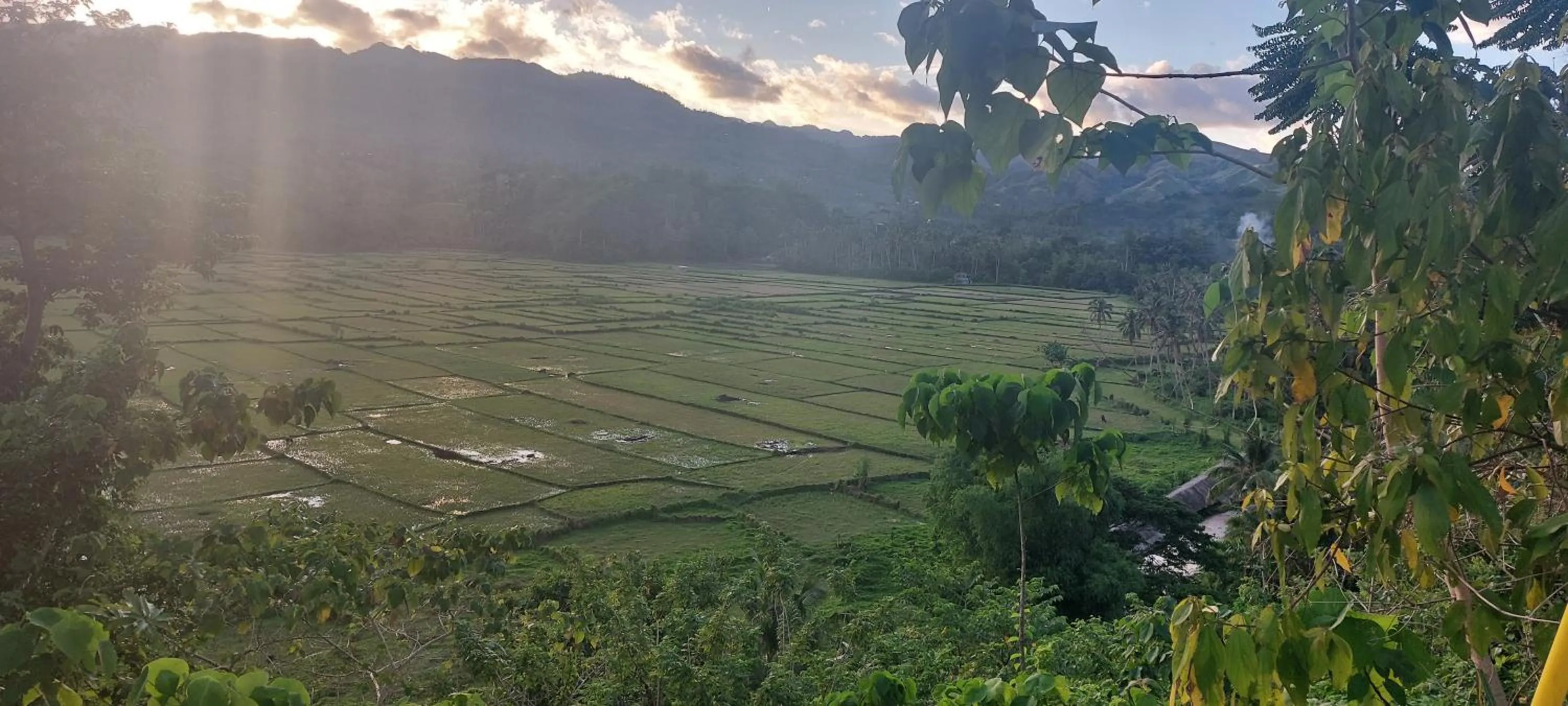Bohol-Lahoy Dive Resort