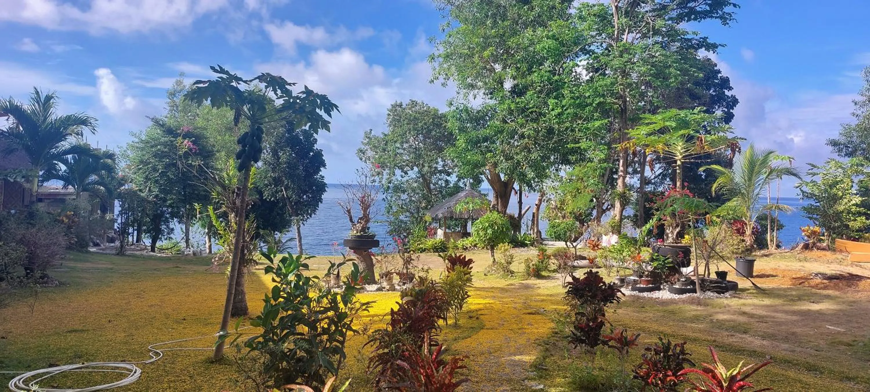 Bohol-Lahoy Dive Resort