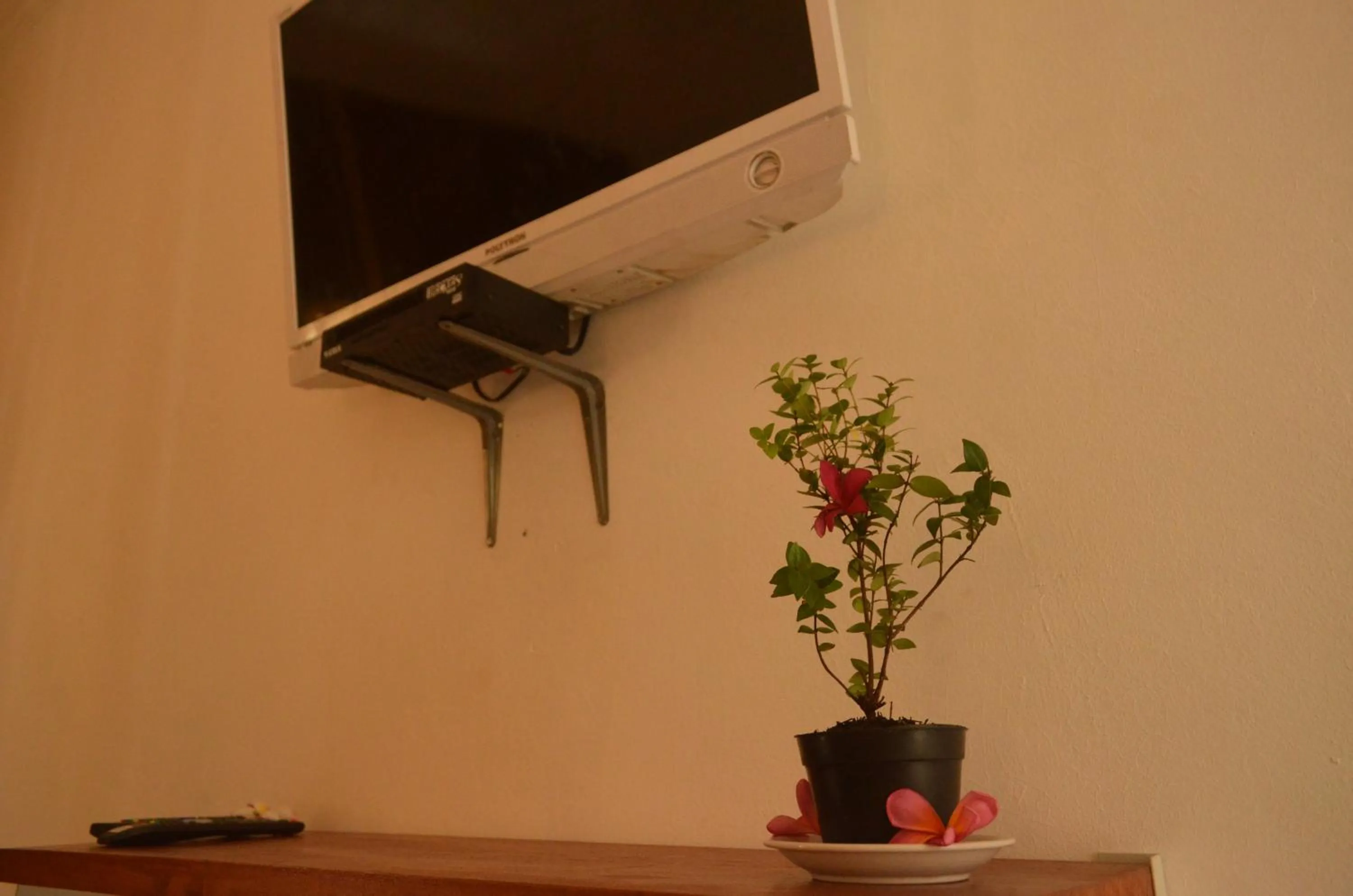 TV and multimedia in The Rahayu Cottage