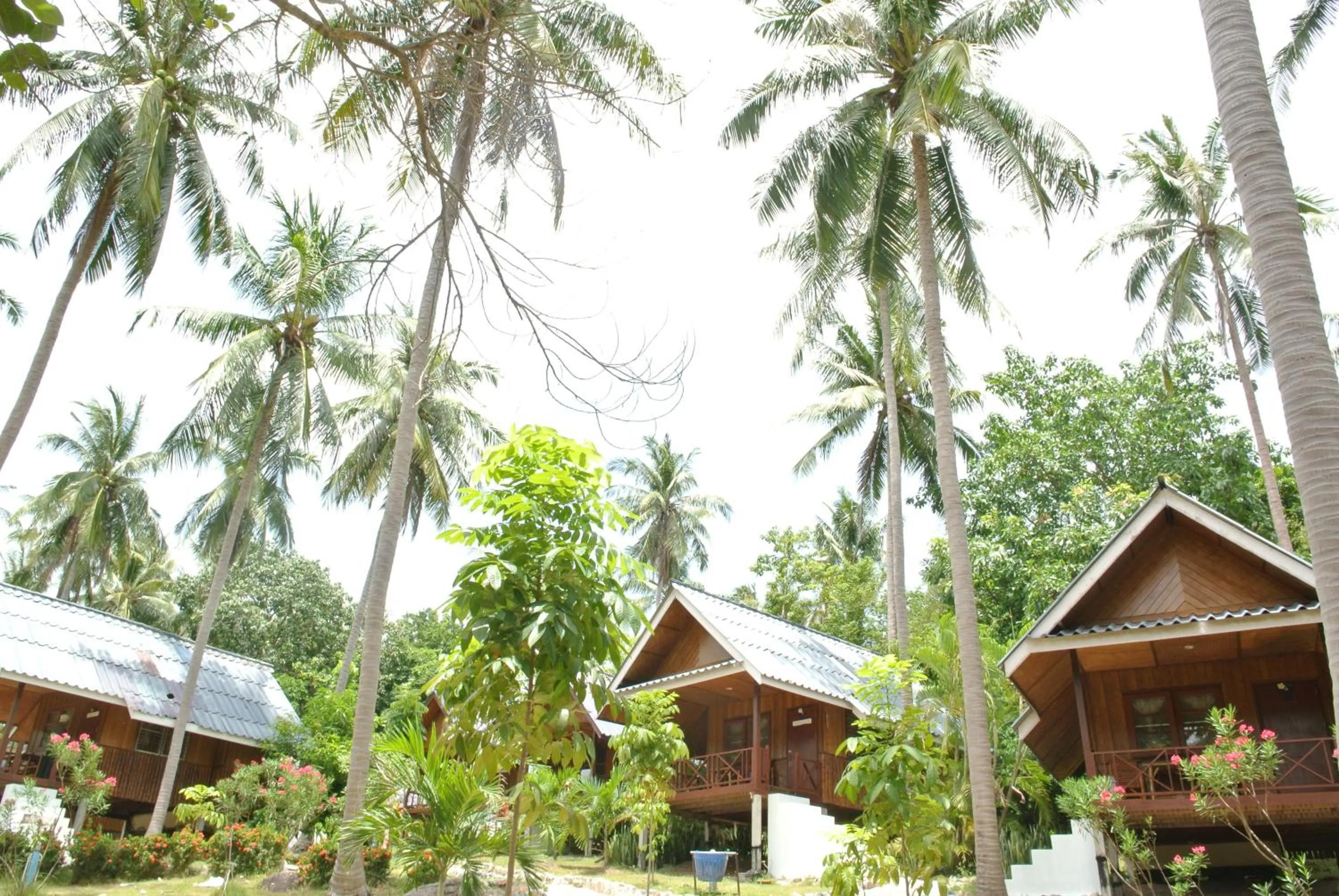 Property building in Seashell Coconut Village Koh Tao