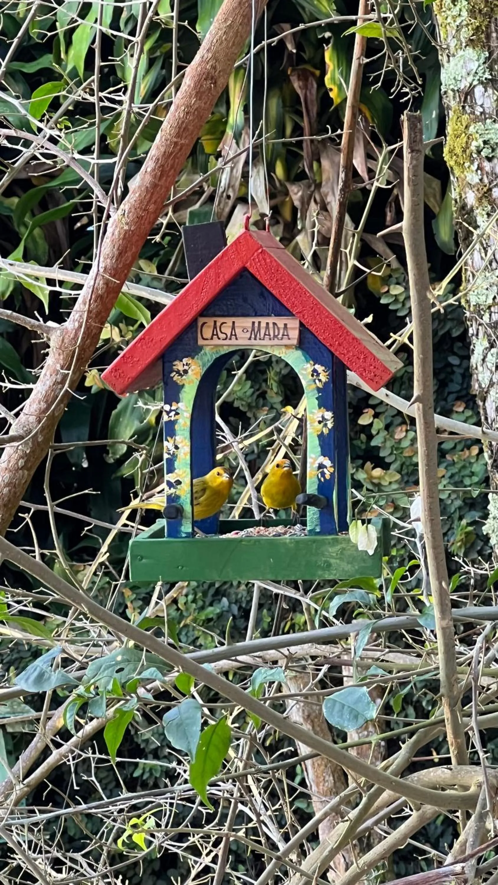 Dining area in Casa Mara