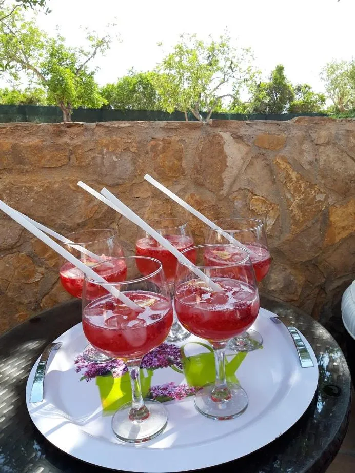 Lounge or bar in VILLA L'ESTAQUE