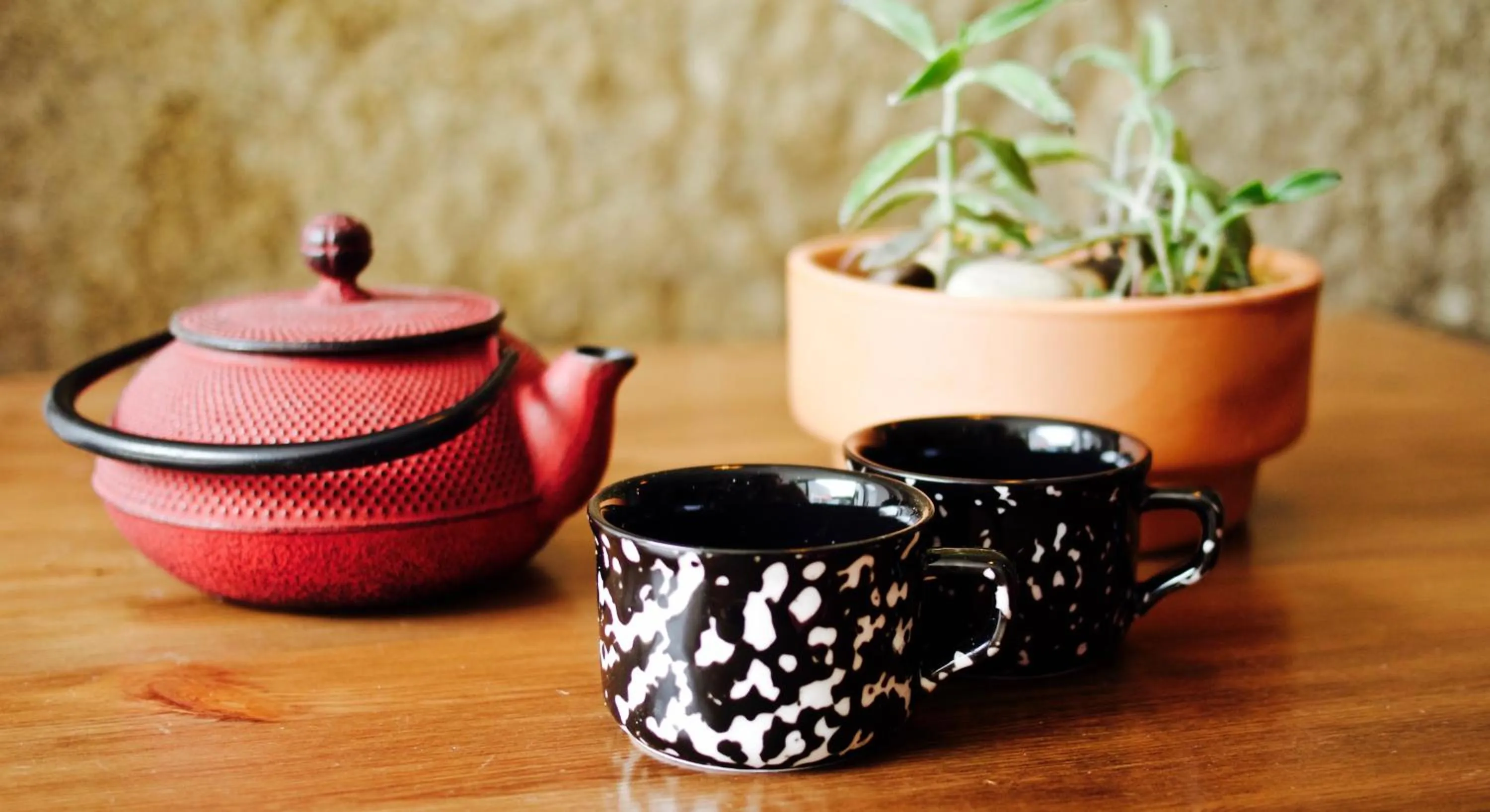 Drinks in Boreal Porto Gaia - Patio & Pool