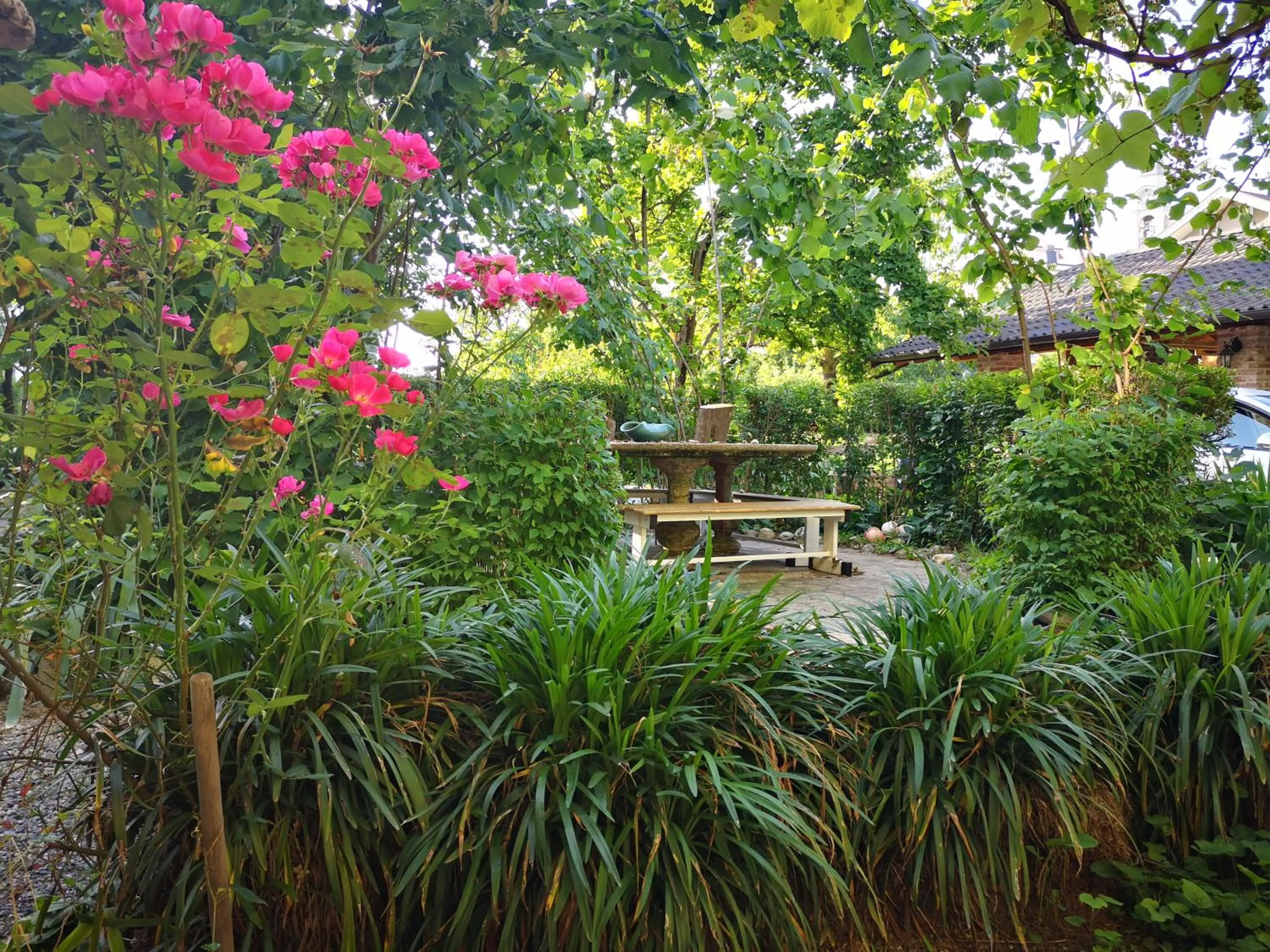 Natural landscape in Tetto alle Rondini