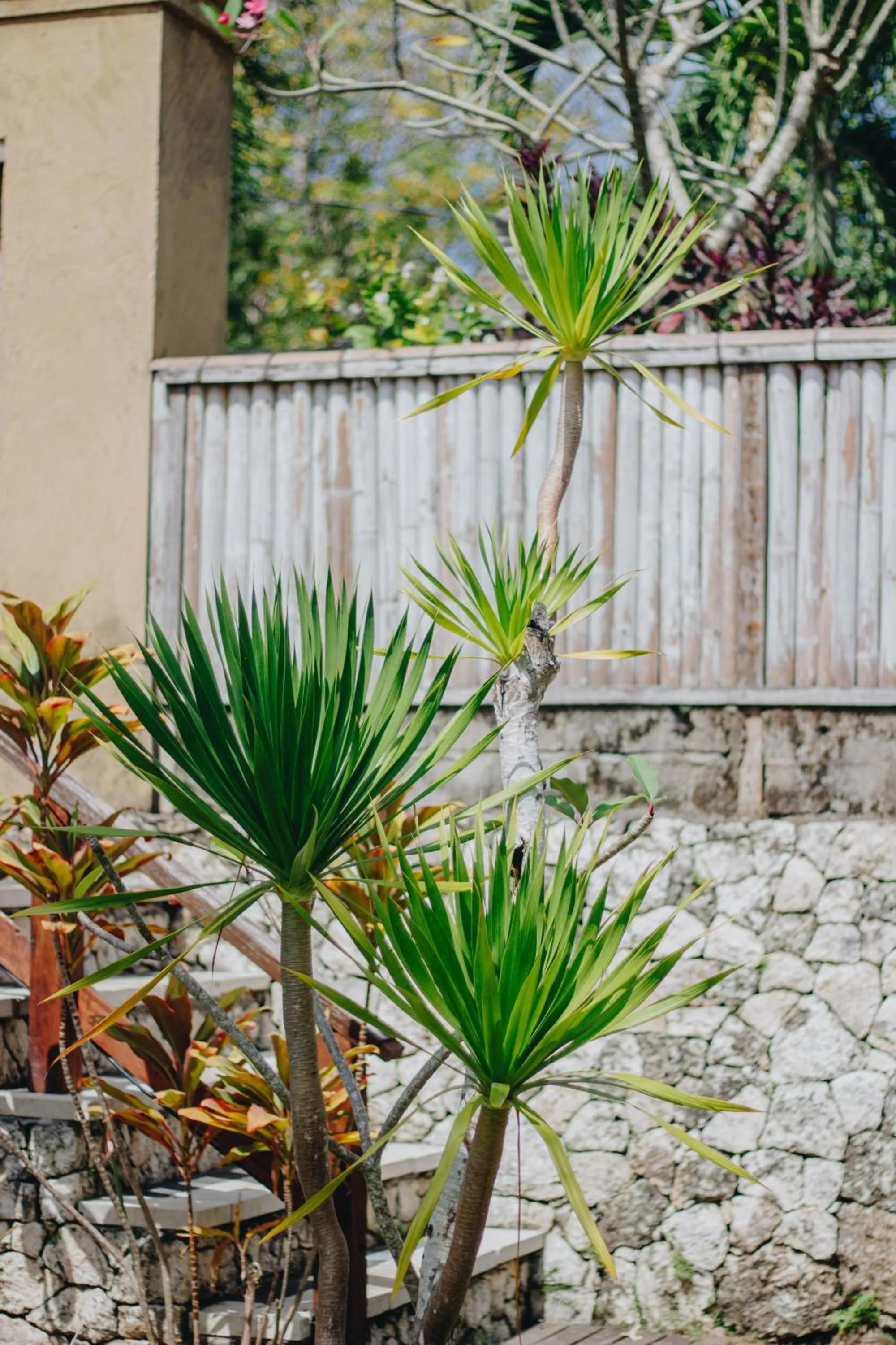 Shrining Cottages Lembongan