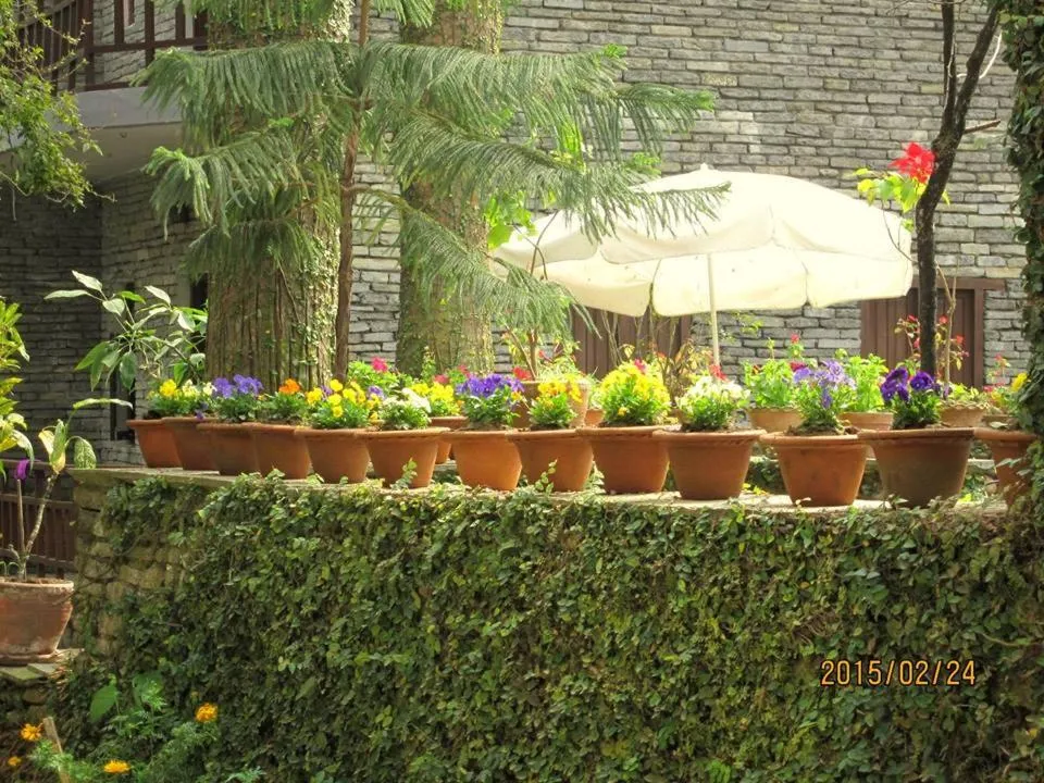 Garden view in Mum's Garden Resort