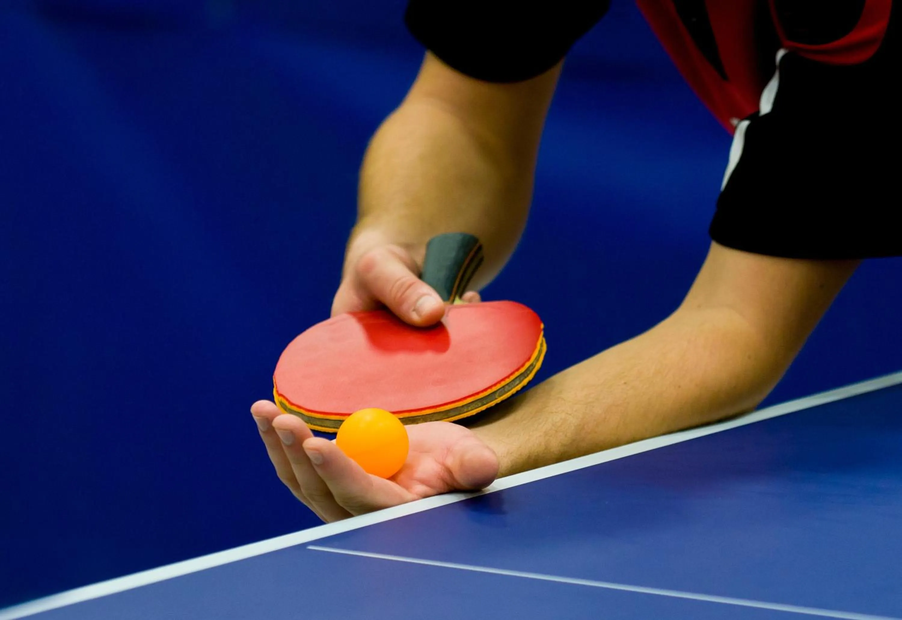 Table tennis in Hotel Bażantowo Sport