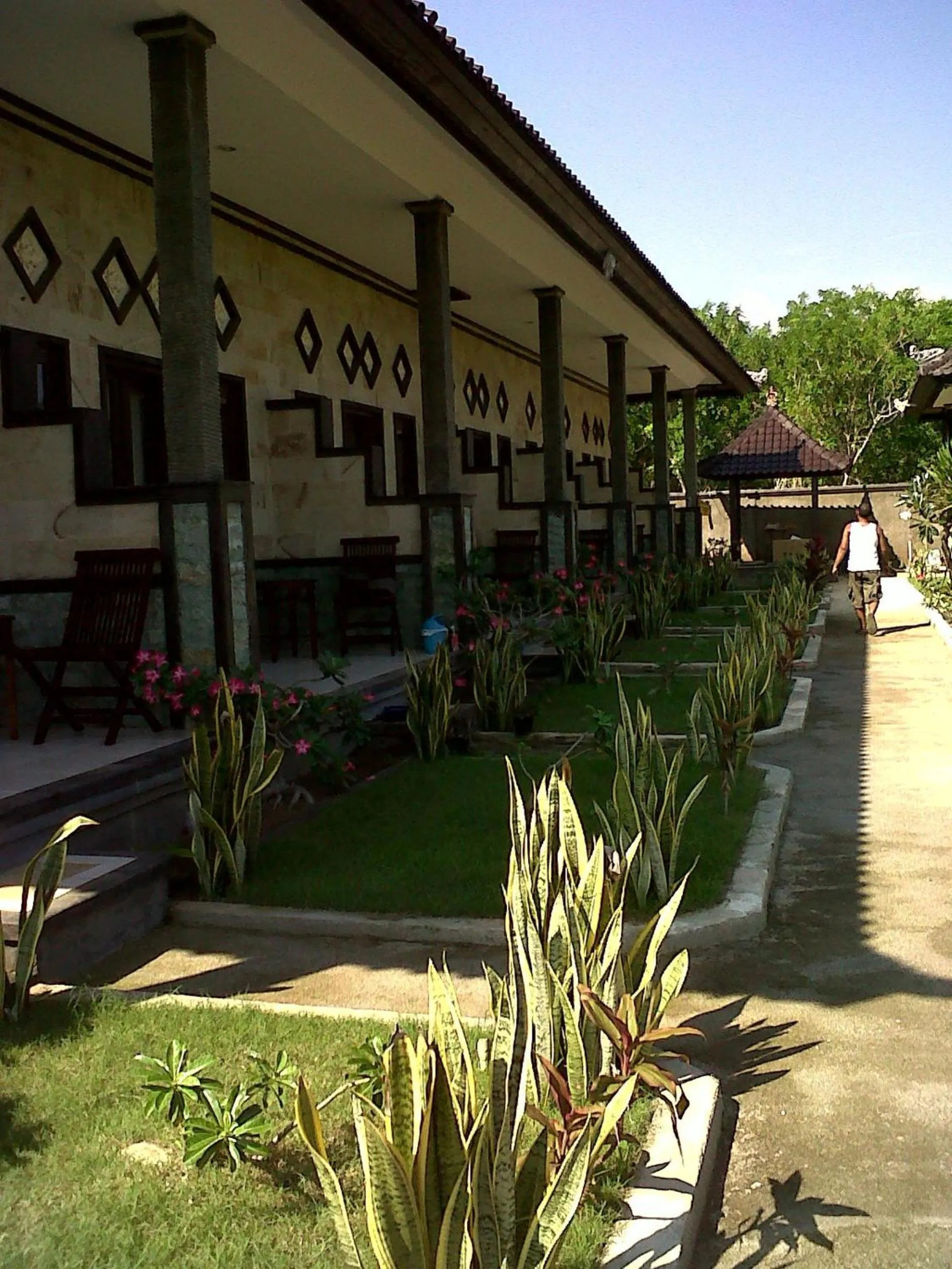 Property building in Dodol Lembongan Cliff Sunset