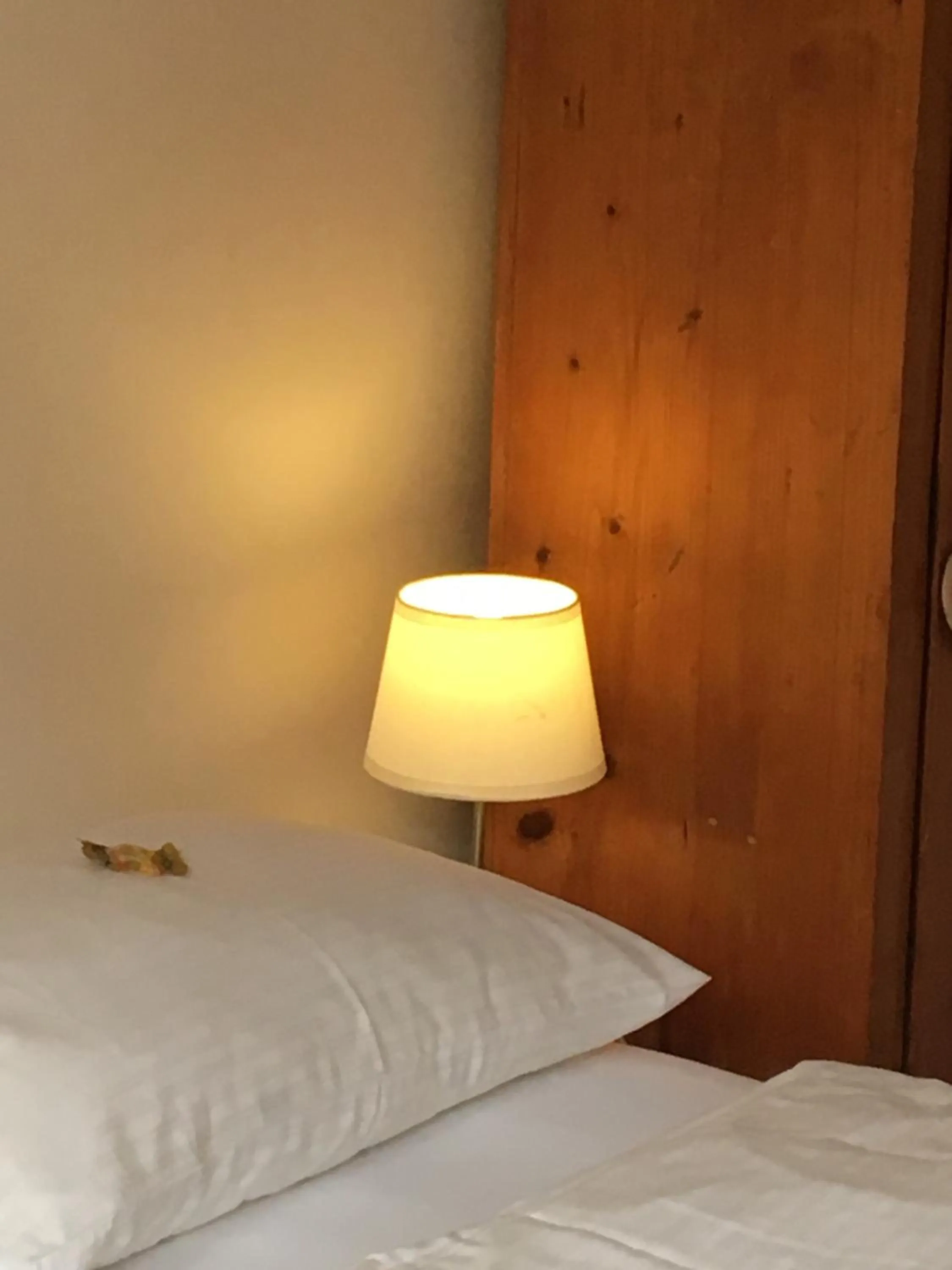 Photo of the whole room, Bed in Gästehaus Alter Keller