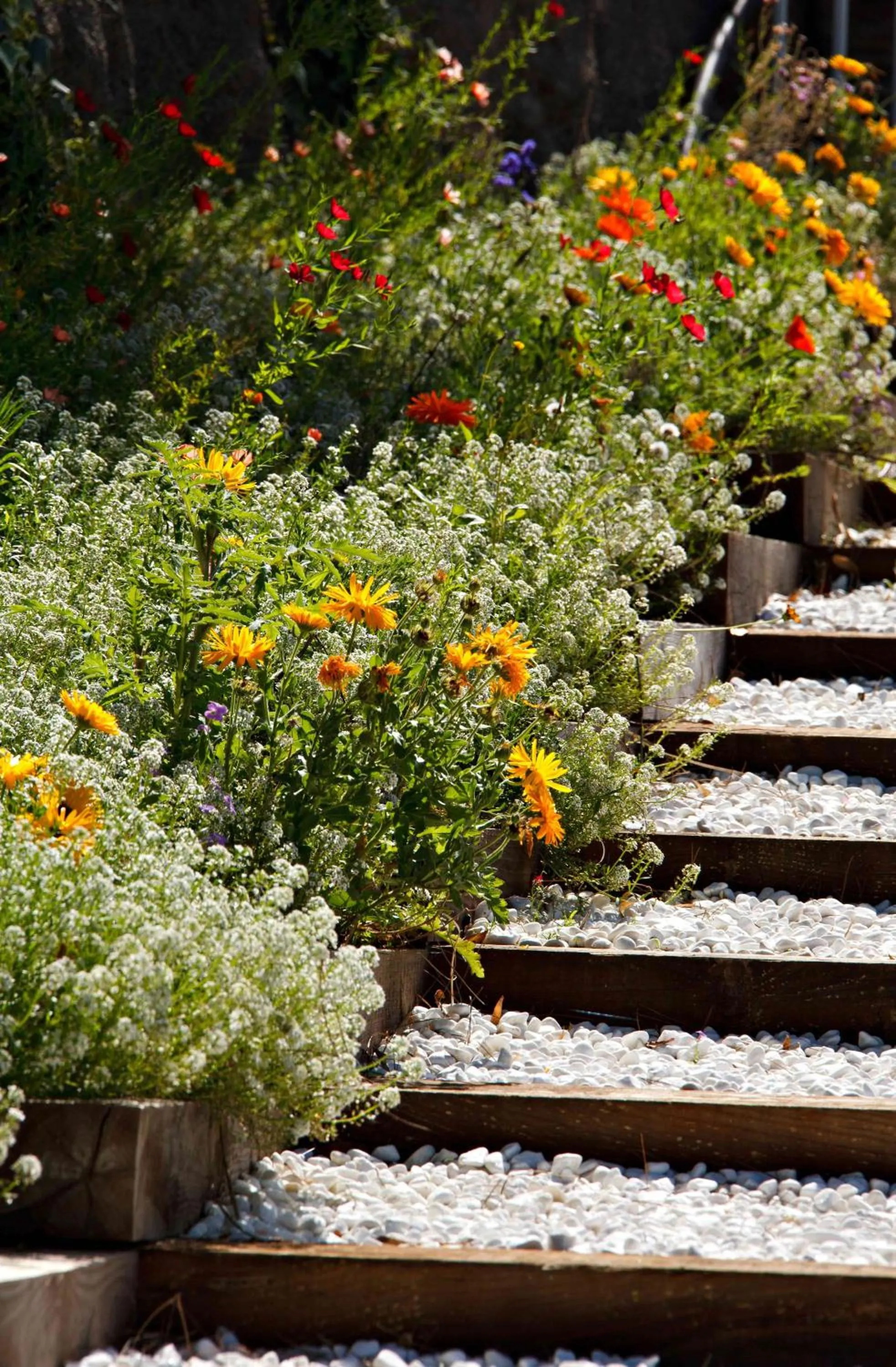 Garden in Hôtel & Spa Les Mouettes