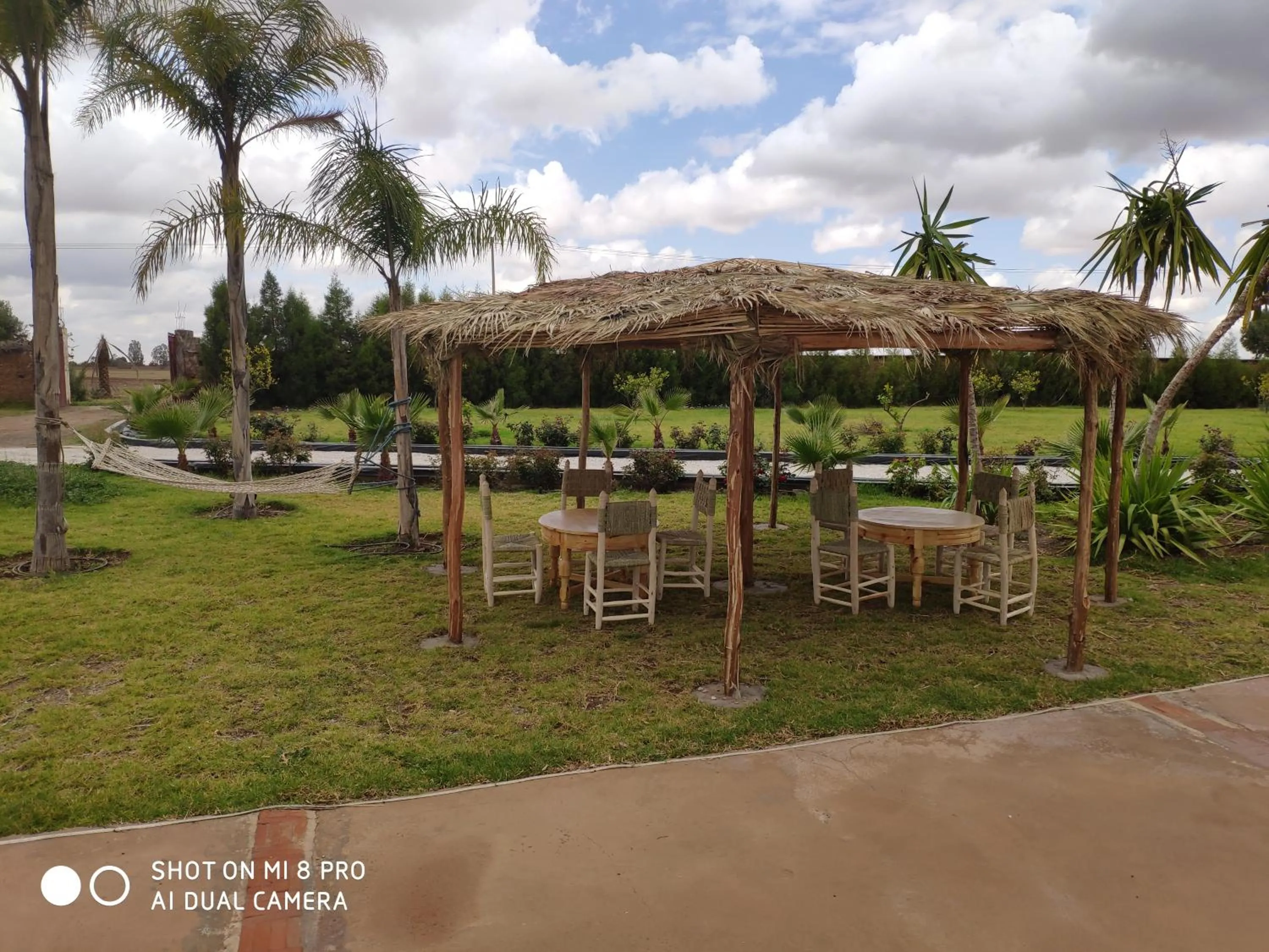 Spring in Les Jardins d Amizmiz 6 piscines