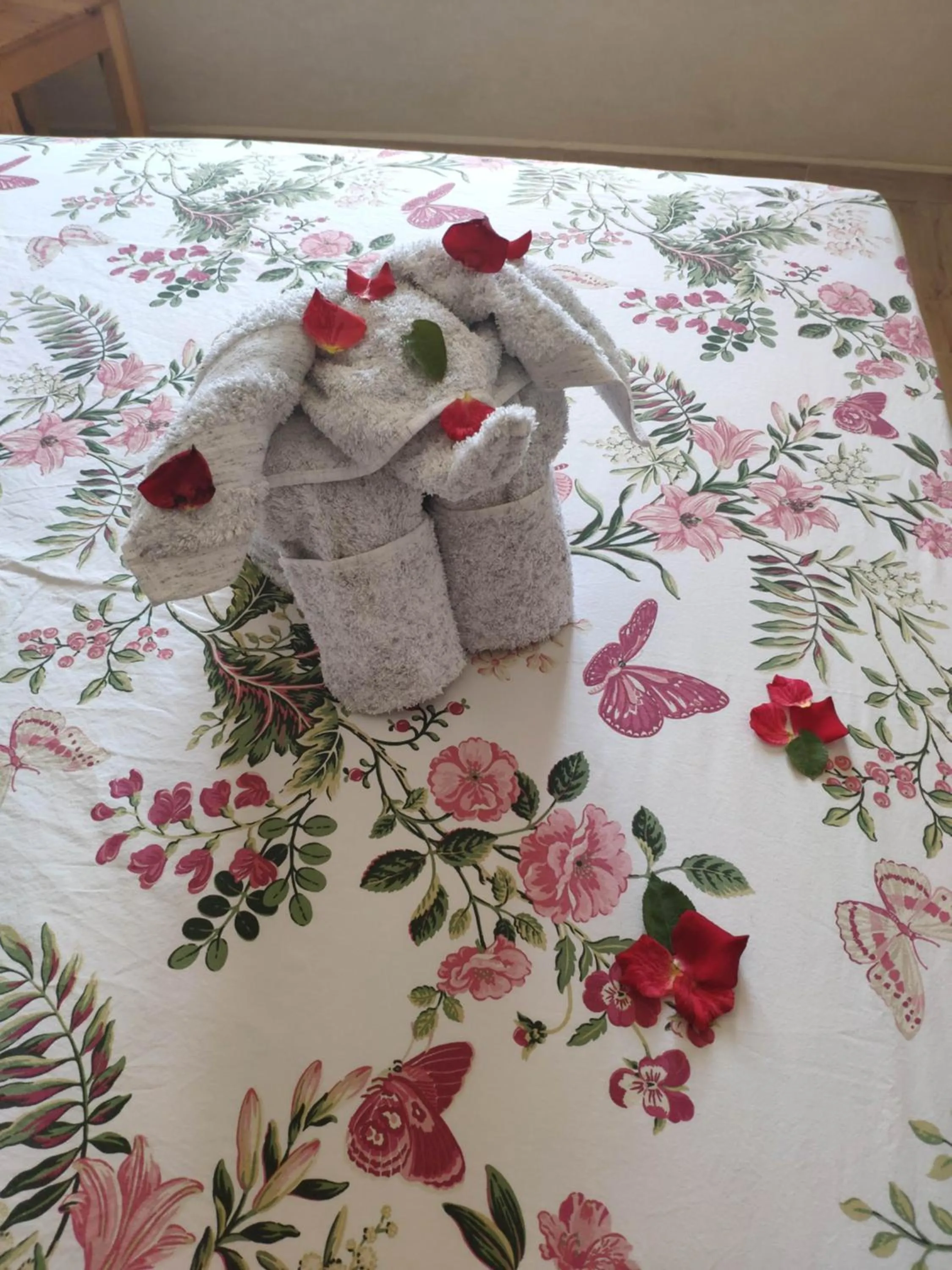 Les Jardins d Amizmiz 6 piscines